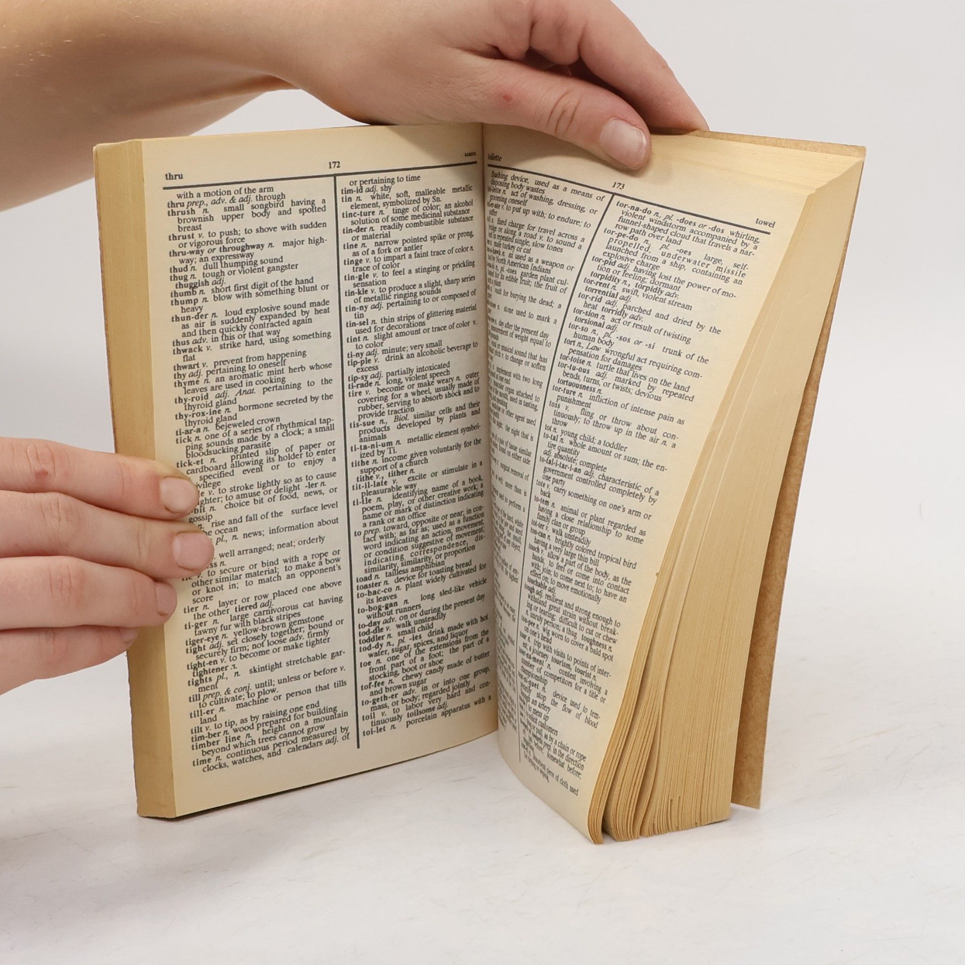 Auteurscollectief Webster's Dictionary Plus Thesaurus