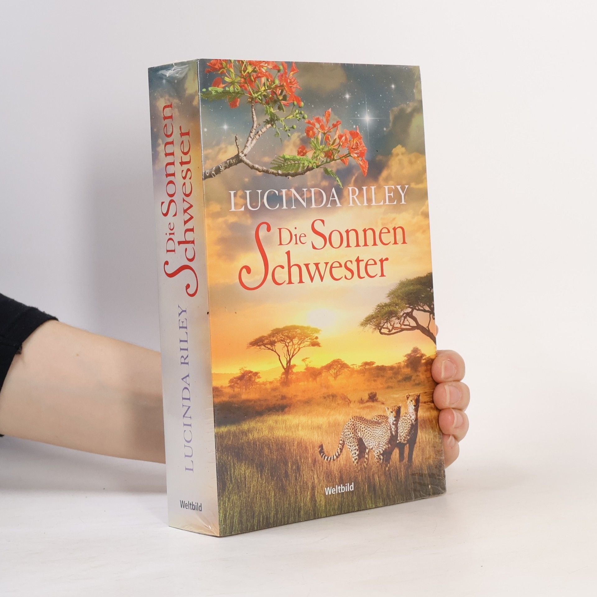 Die Sonnenschwester