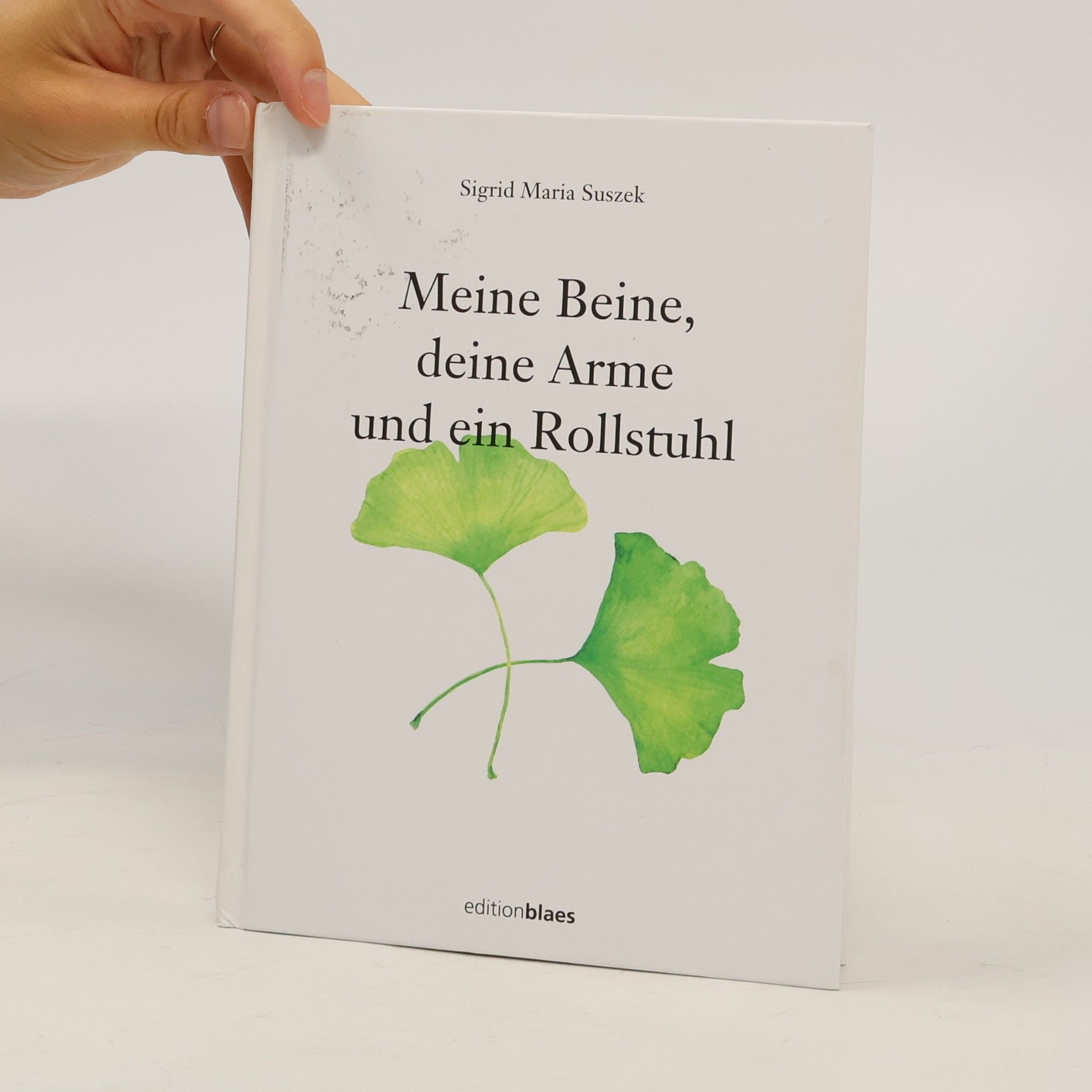 Sigrid Maria Suszek Meine Beine, deine Arme und ein Rollstuhl