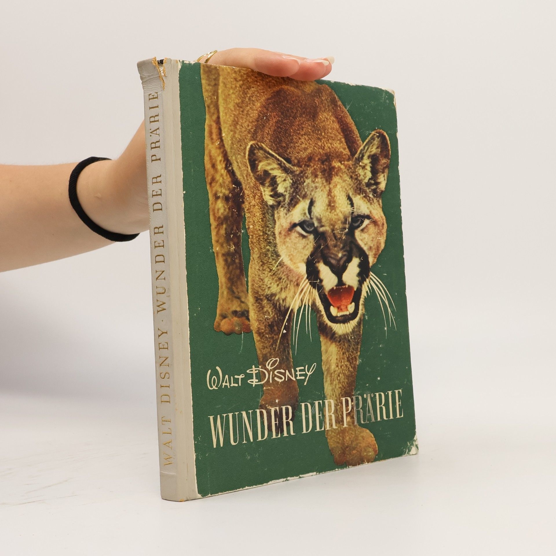 Wunder der Prärie
