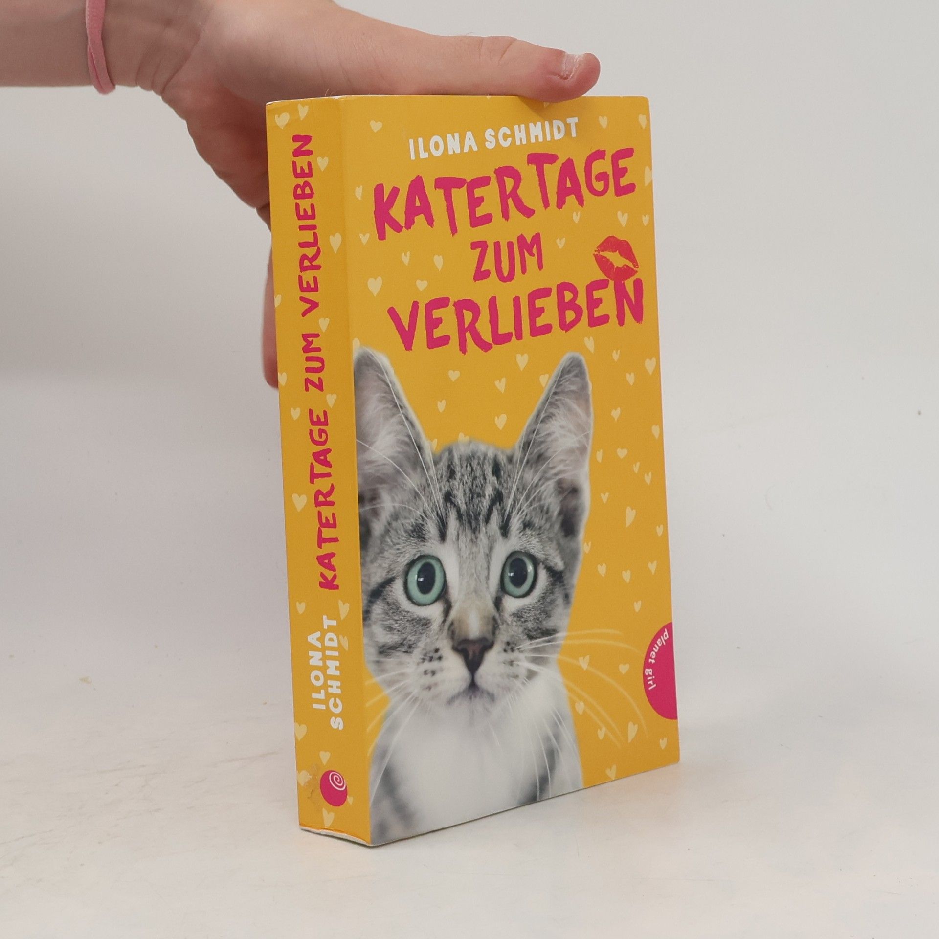 Ilona Schmidt Katertage zum Verlieben