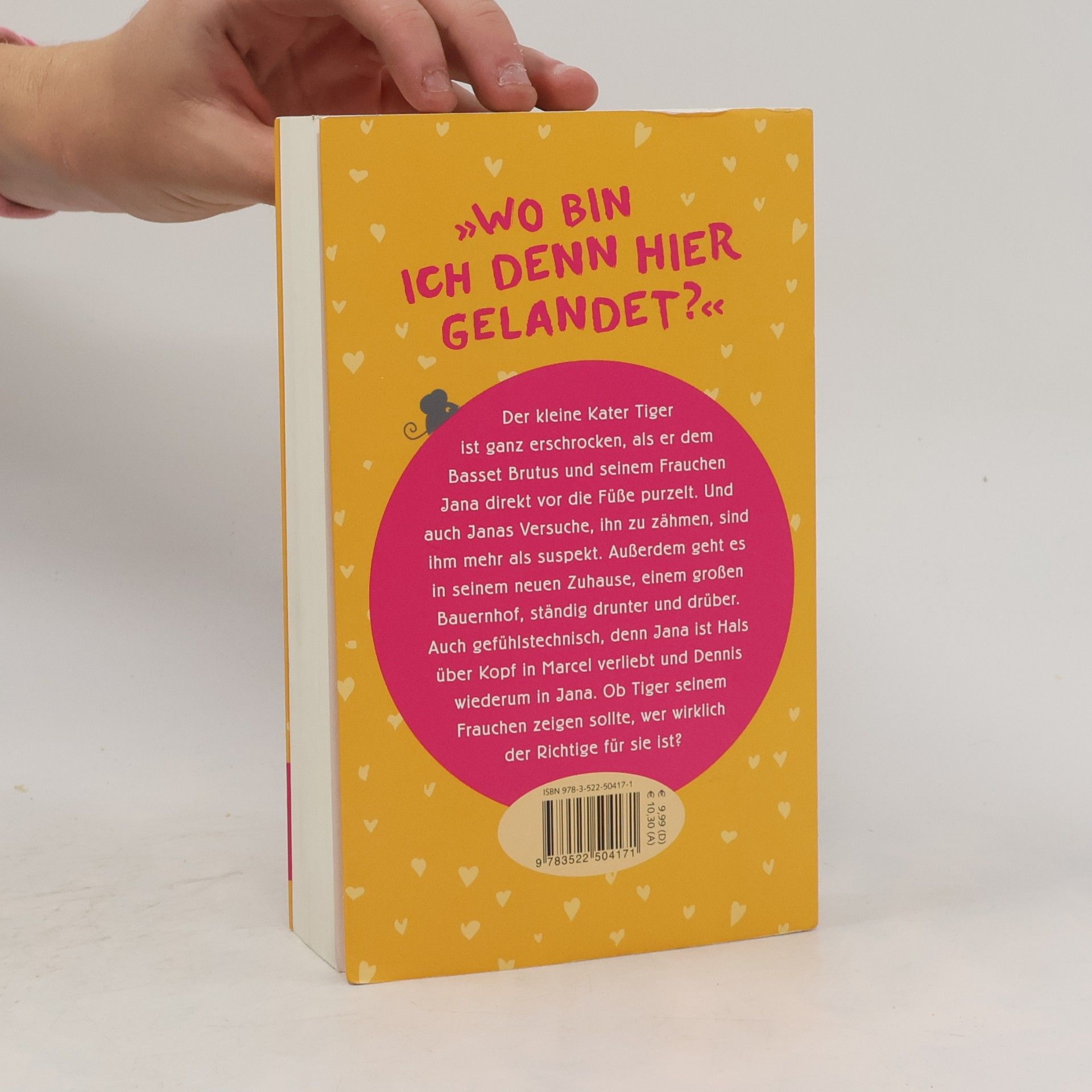 Ilona Schmidt Katertage zum Verlieben