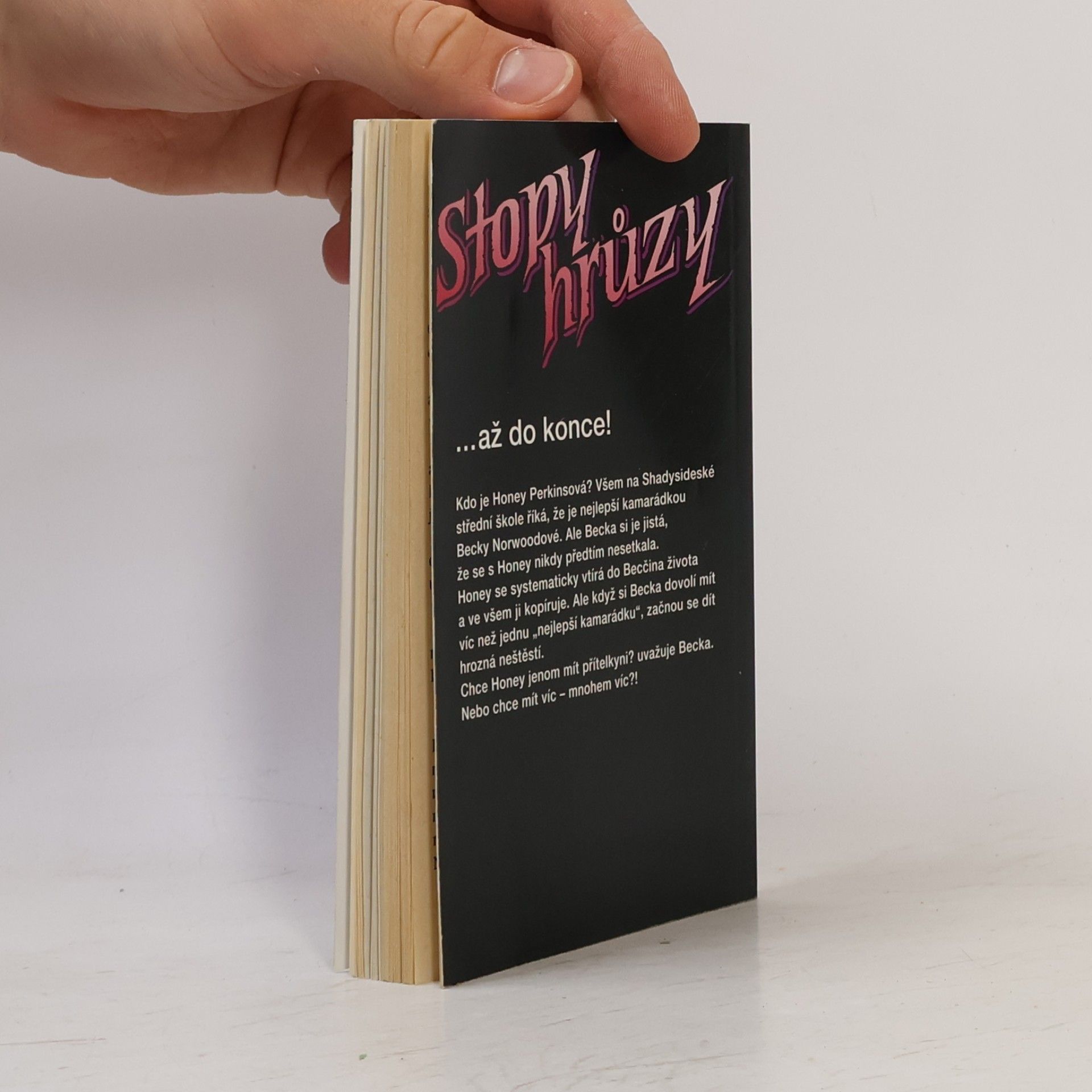 R. L. Stine Nejlepší přítelkyně