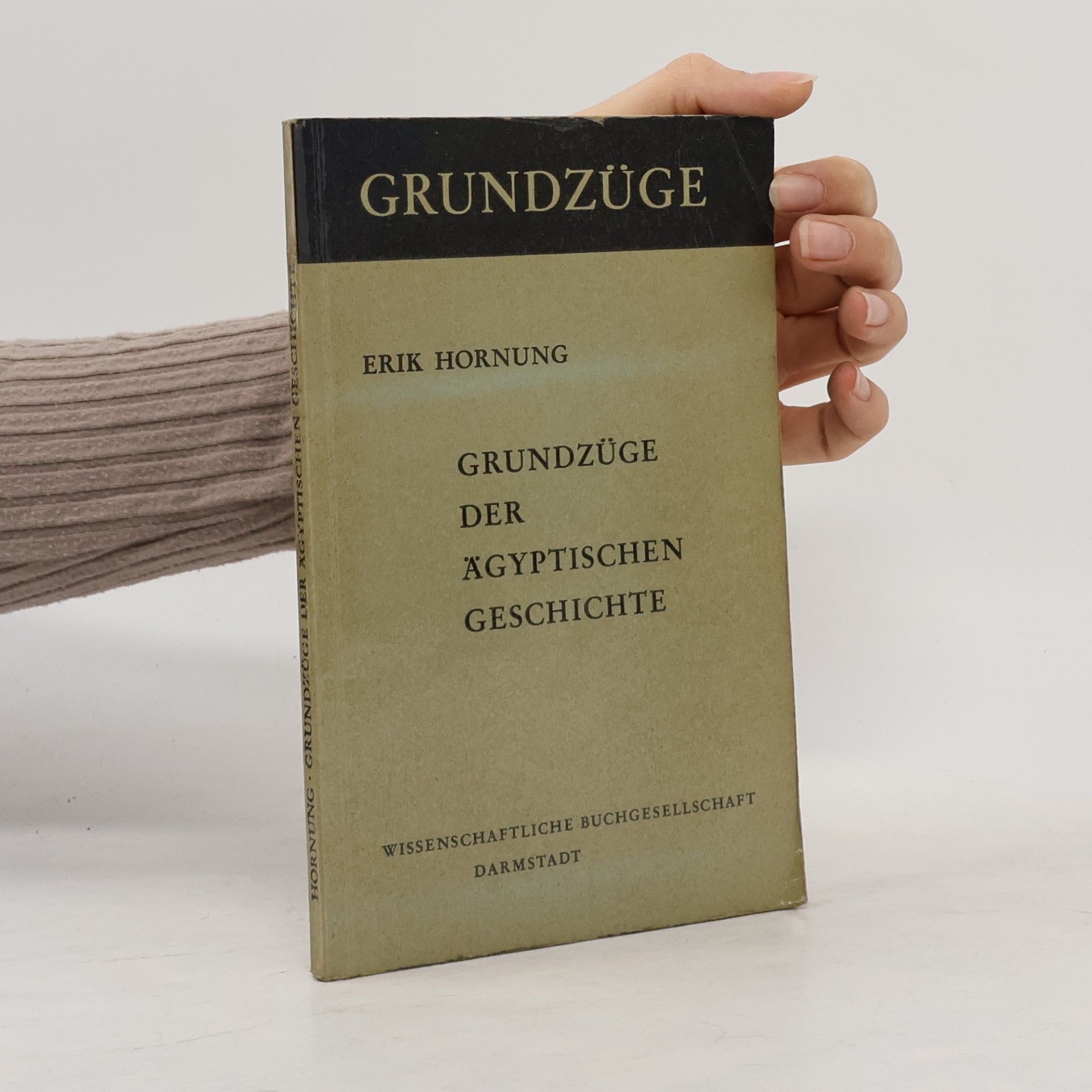Erik Hornung Grundzüge der ägyptischen Geschichte
