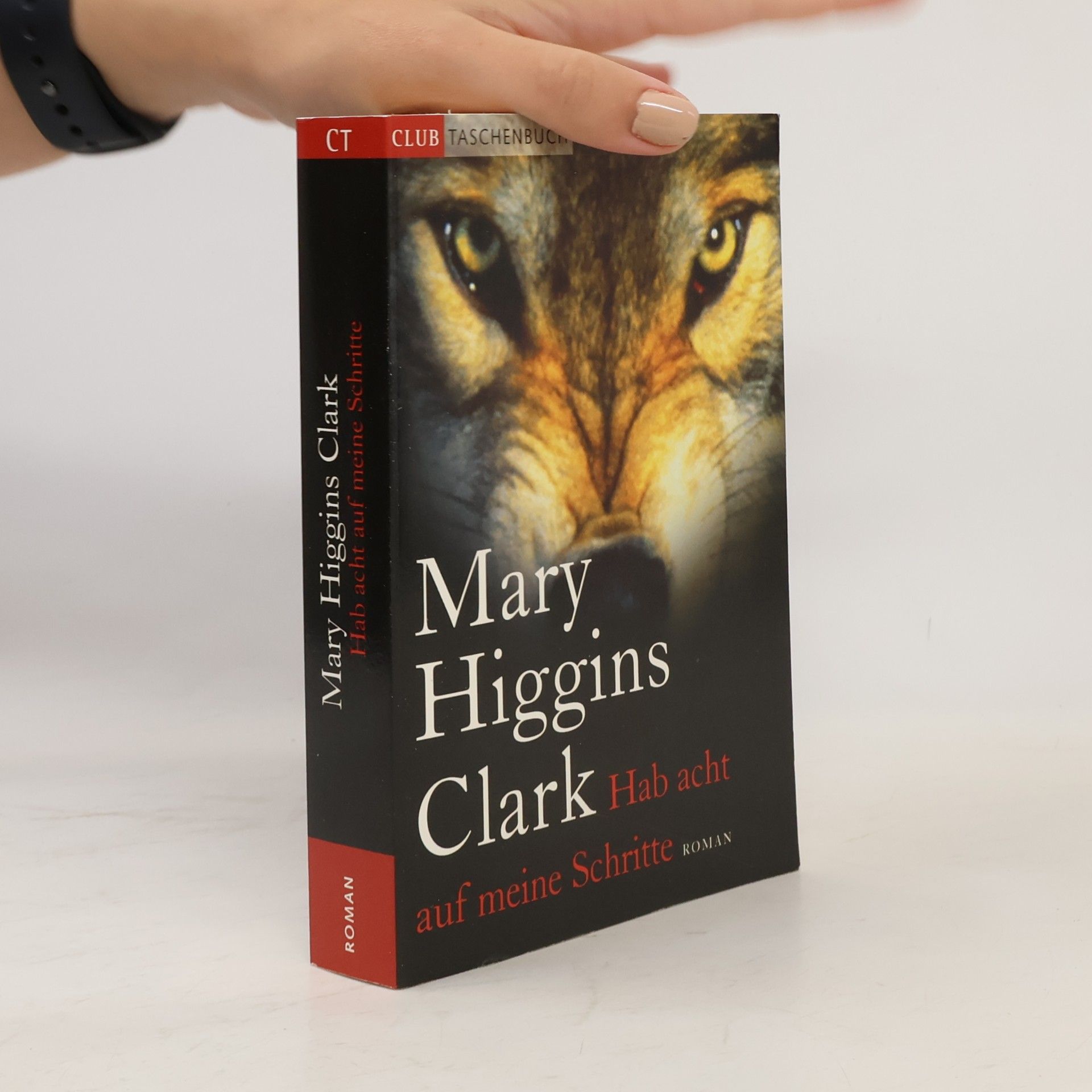 Mary Higgins Clark Hab acht auf meine Schritte