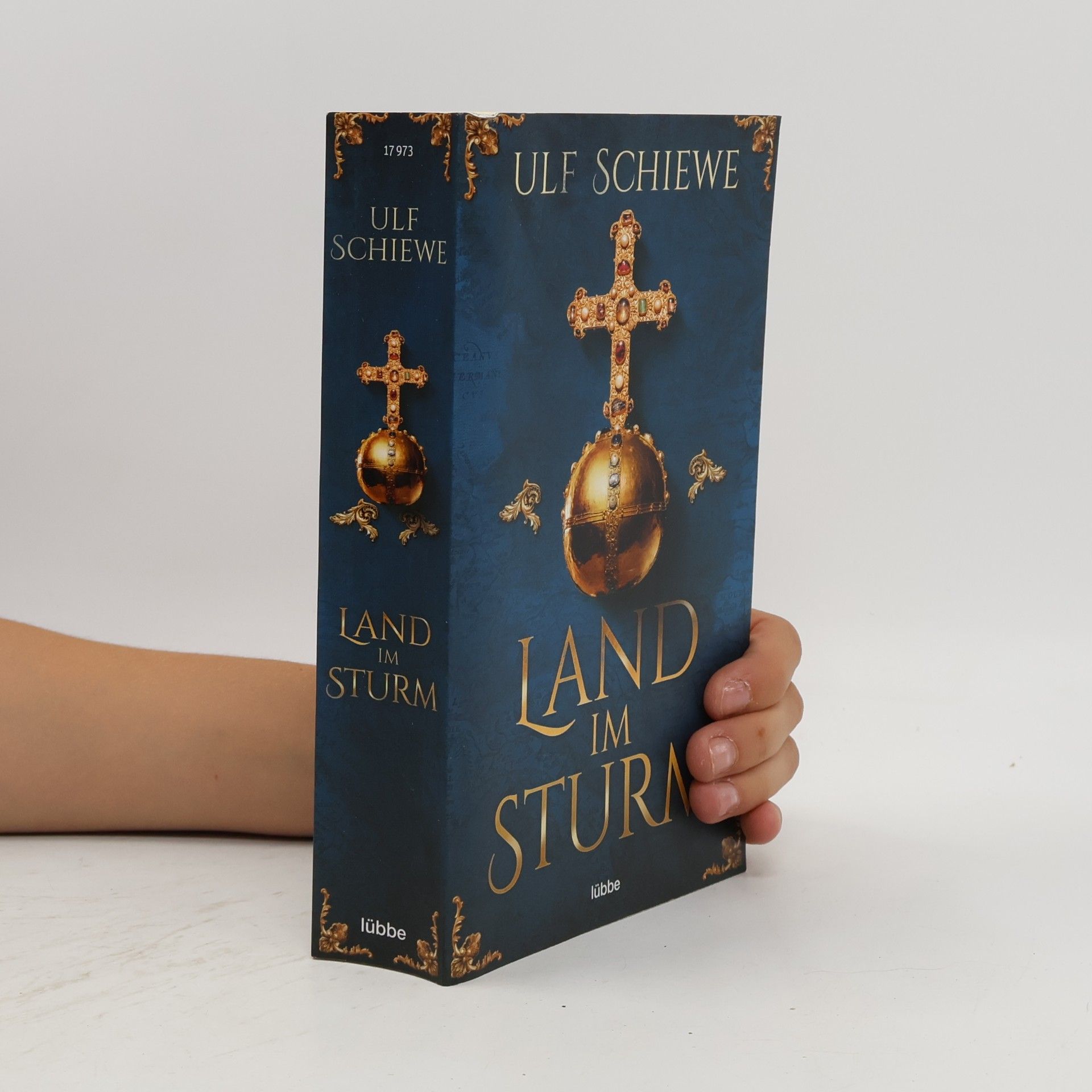 Ulf Schiewe Land im Sturm