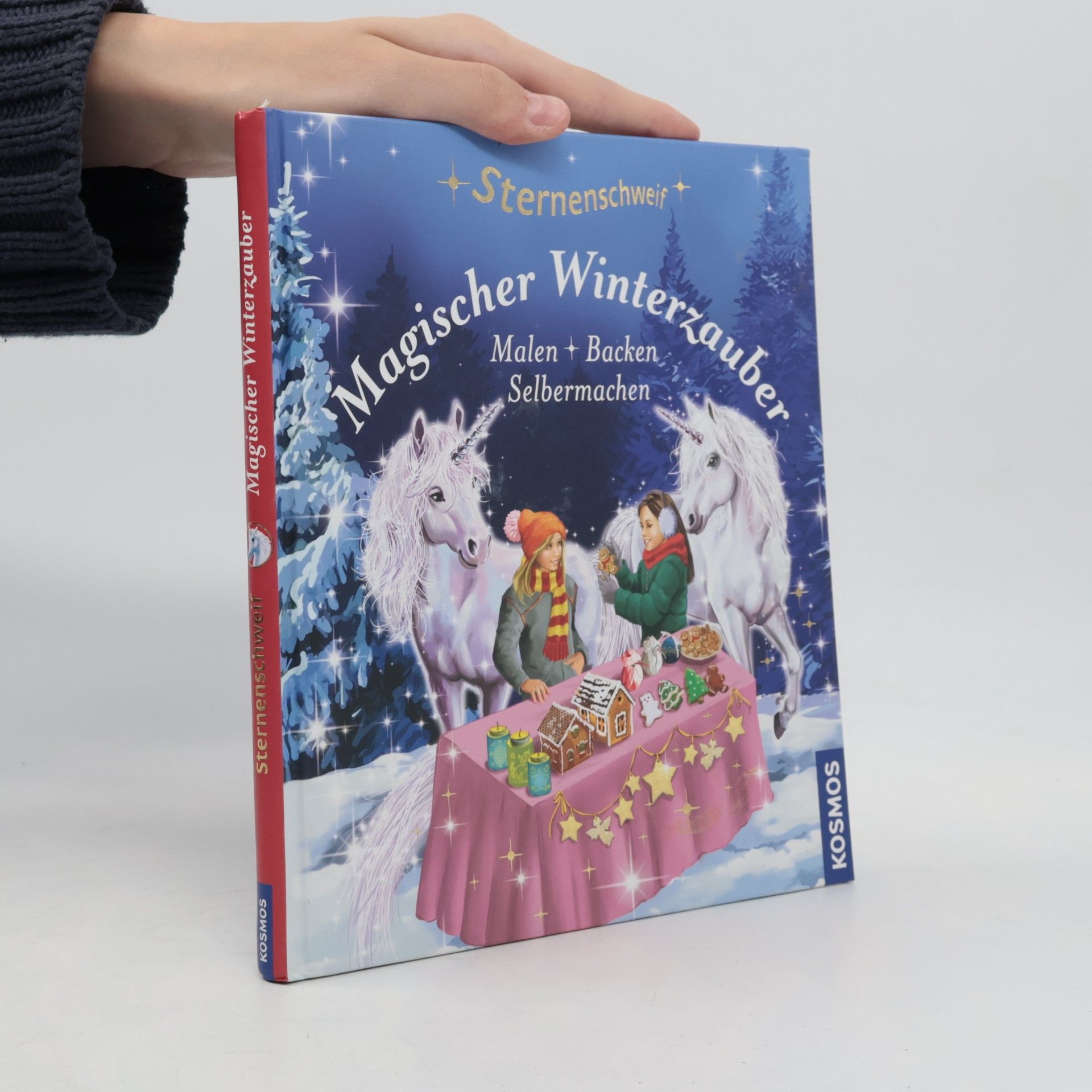 Linda Chapman Sternenschweif - magischer Winterzauber