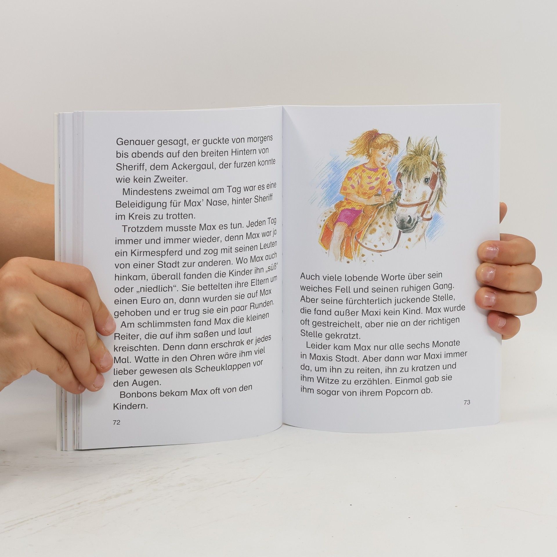 Autorenkollektiv Leselöwen. Pferdegeschichten. Reiterferiengeschichten