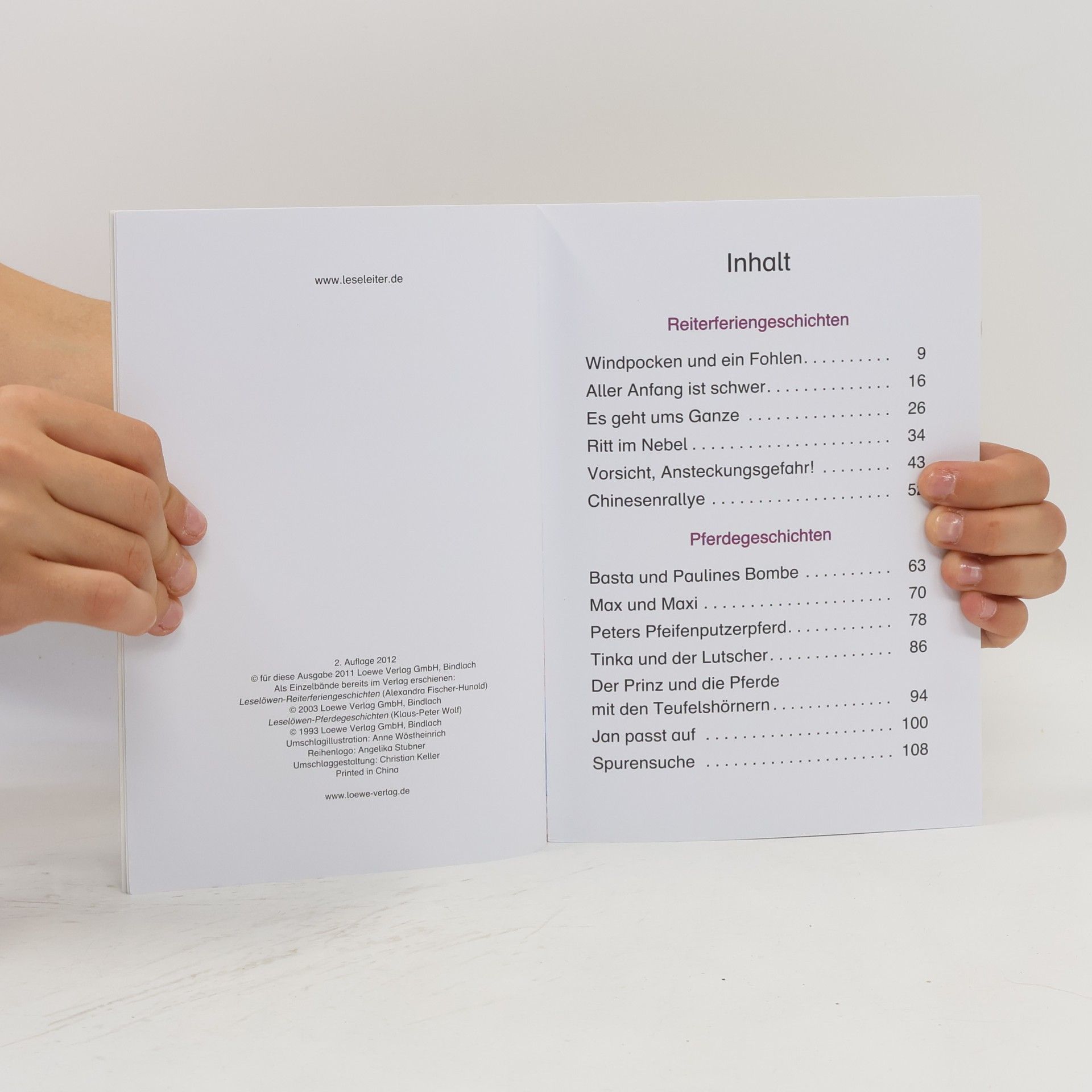 Autorenkollektiv Leselöwen. Pferdegeschichten. Reiterferiengeschichten