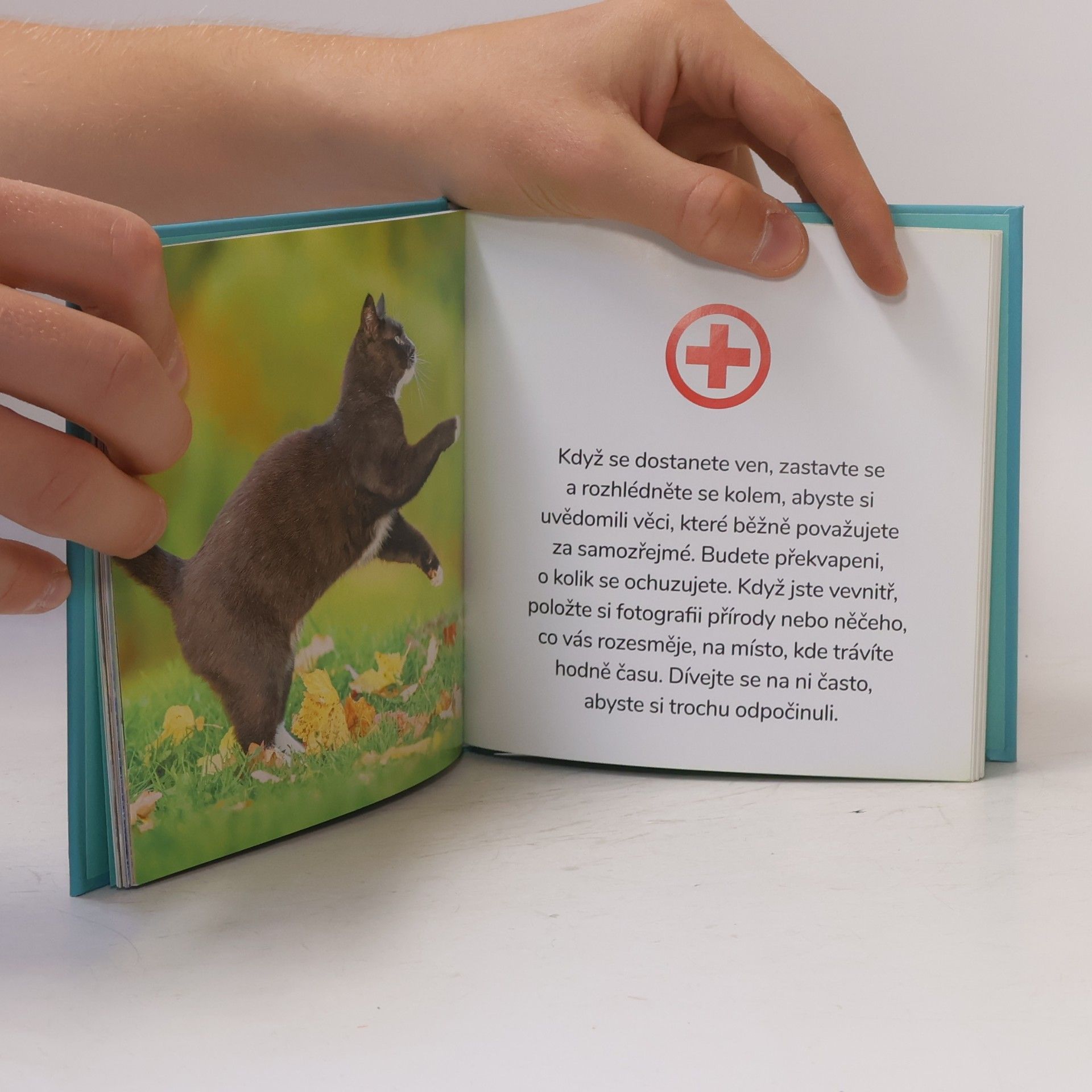 Charlie Ellis Kočičí terapie: První pomoc