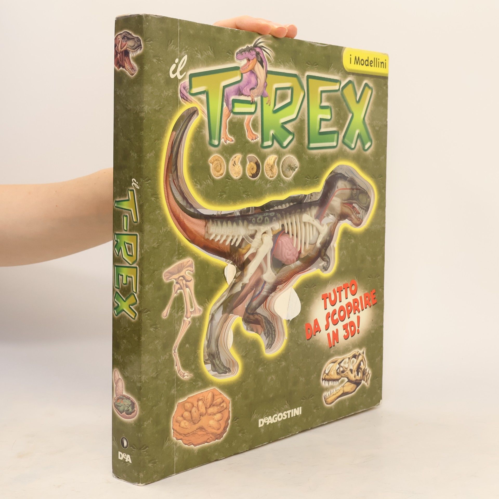 Christian Kitzmueller I Modellini: Il T-Rex