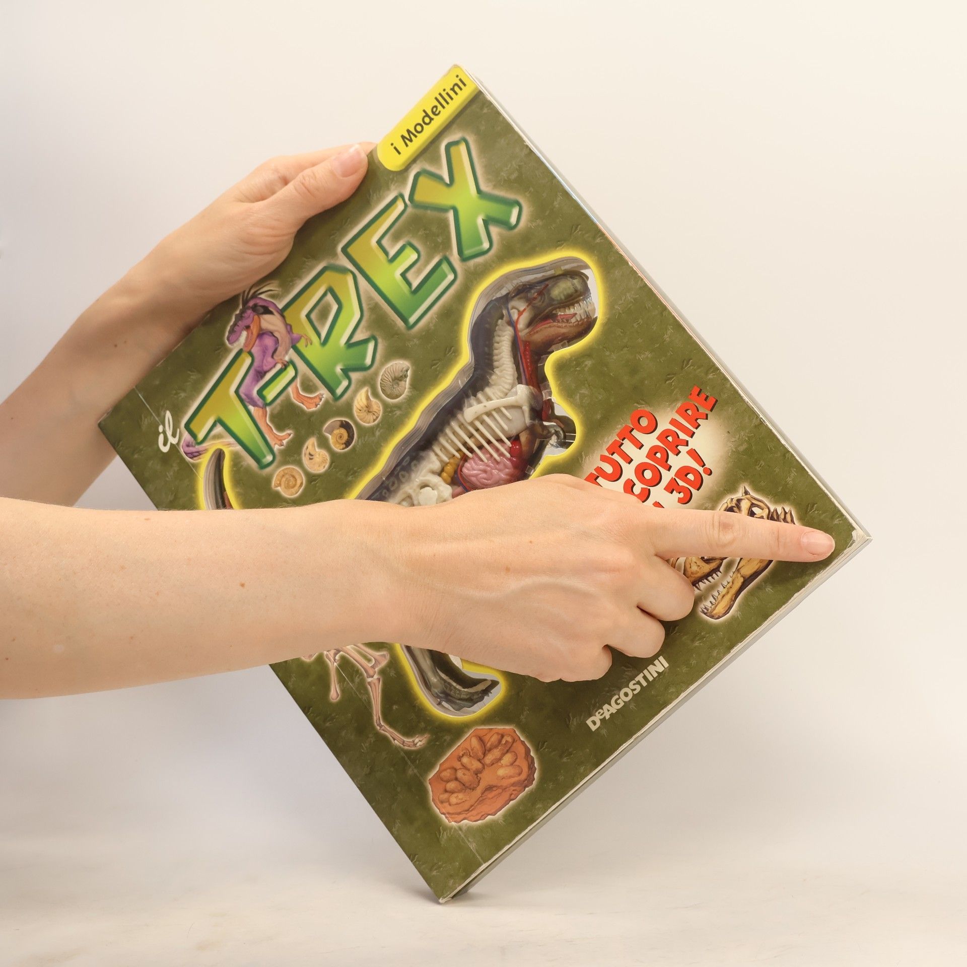 Christian Kitzmueller I Modellini: Il T-Rex