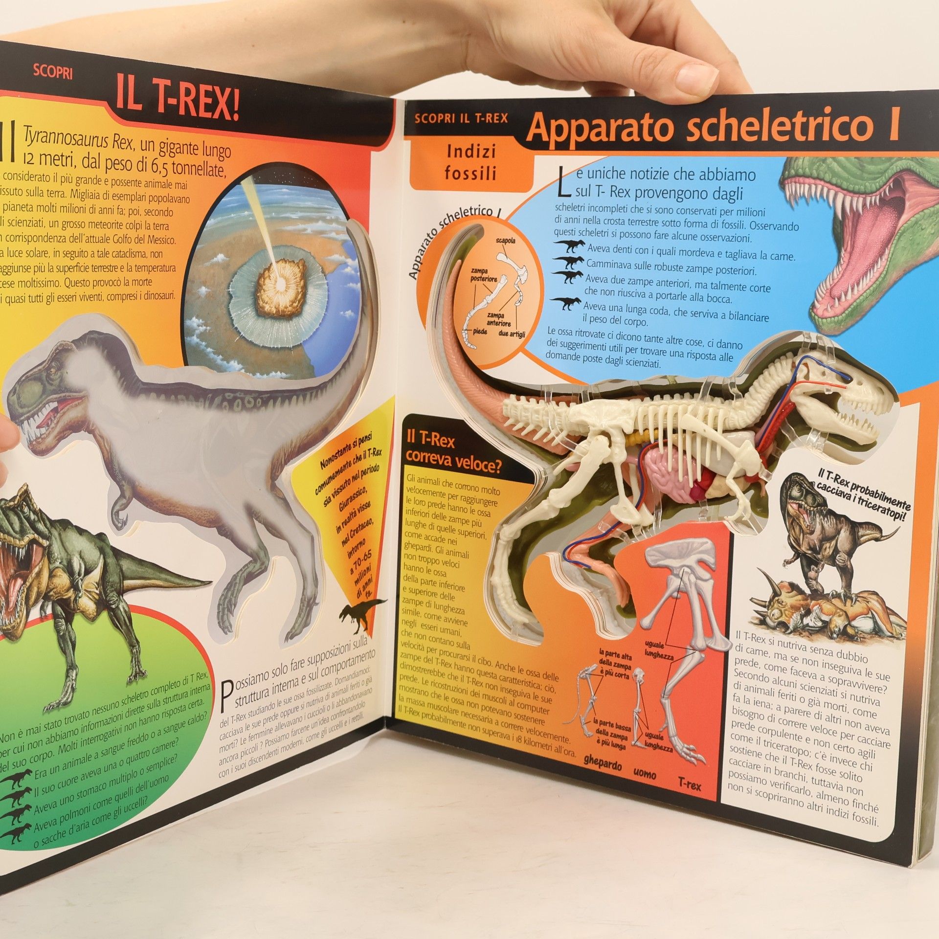 Christian Kitzmueller I Modellini: Il T-Rex