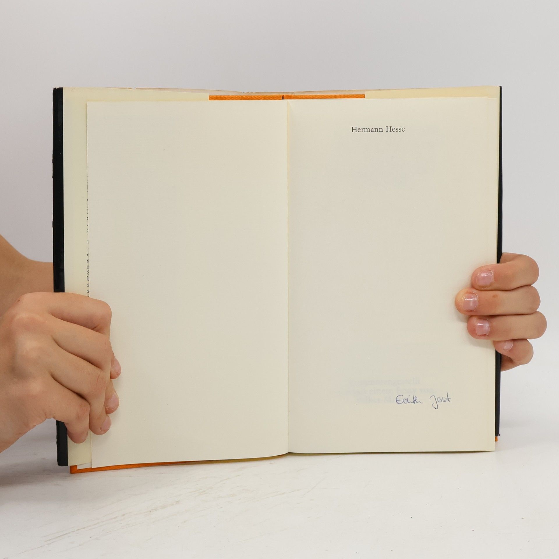 Hermann Hesse Der Steppenwolf