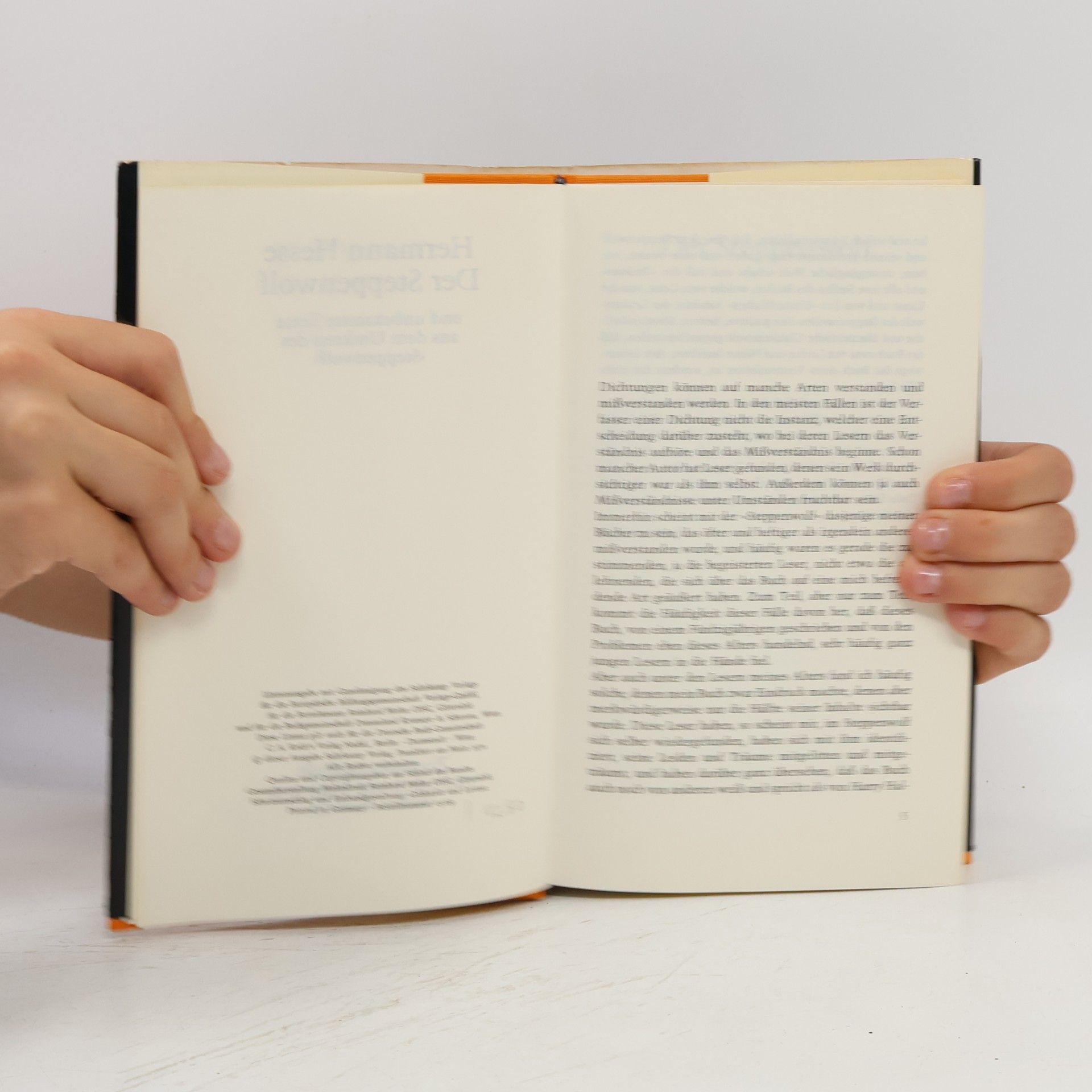 Hermann Hesse Der Steppenwolf