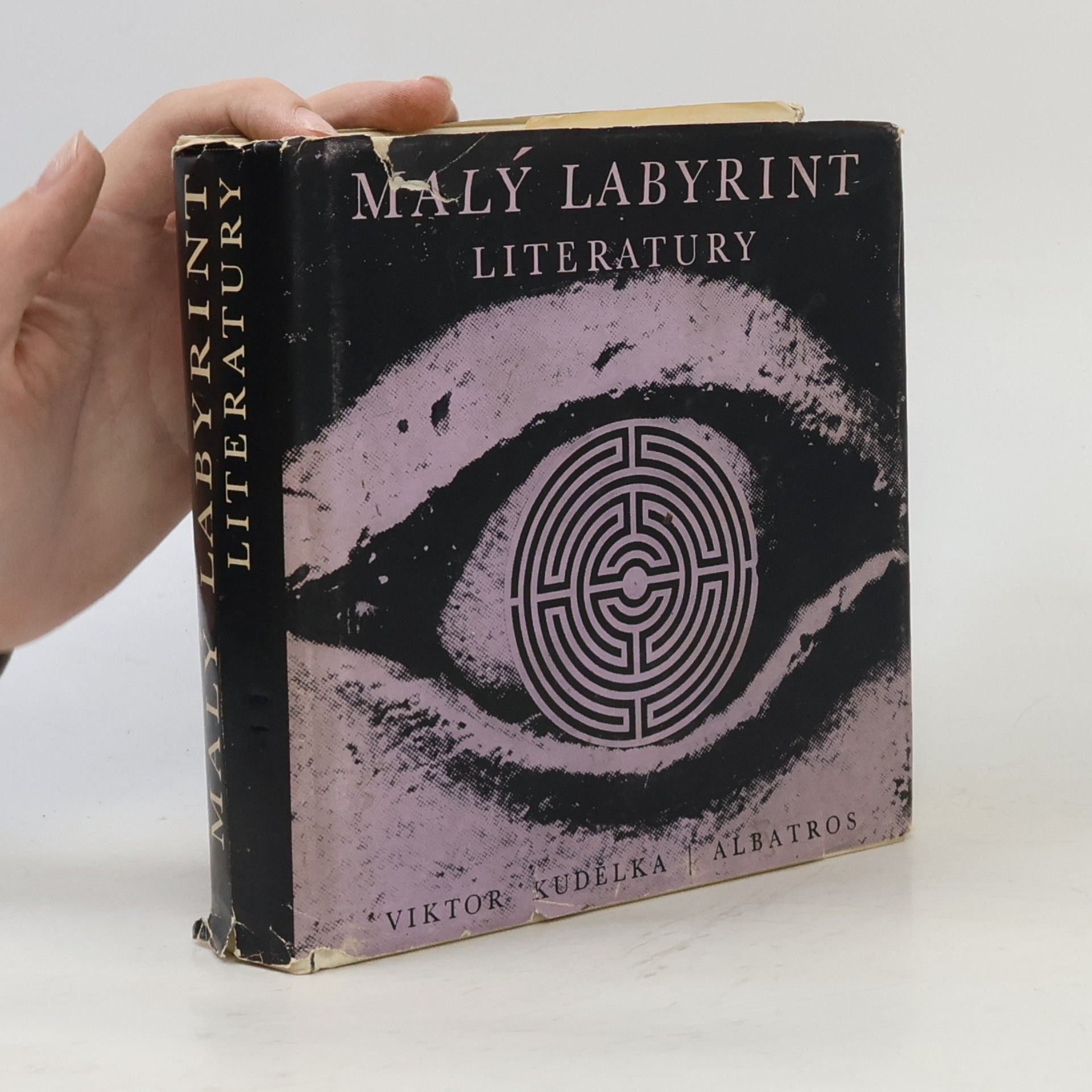 Viktor Kudělka Malý labyrint literatury