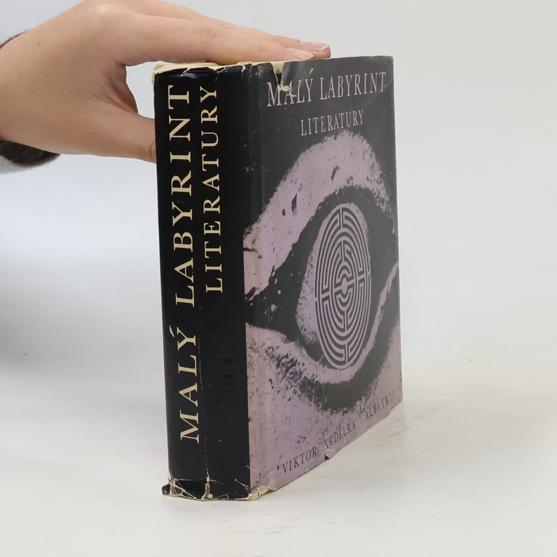 Viktor Kudělka Malý labyrint literatury