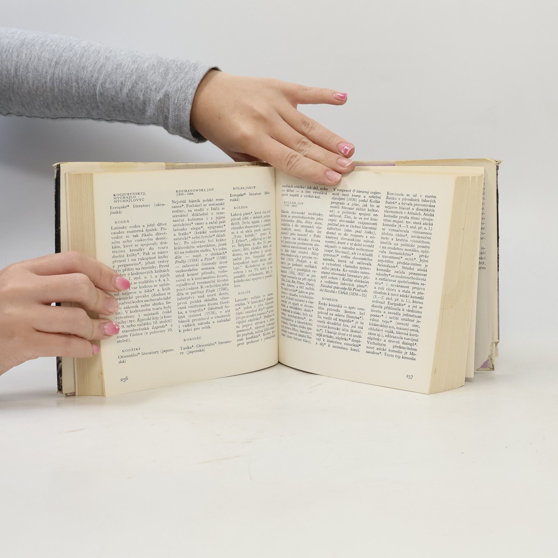 Viktor Kudělka Malý labyrint literatury