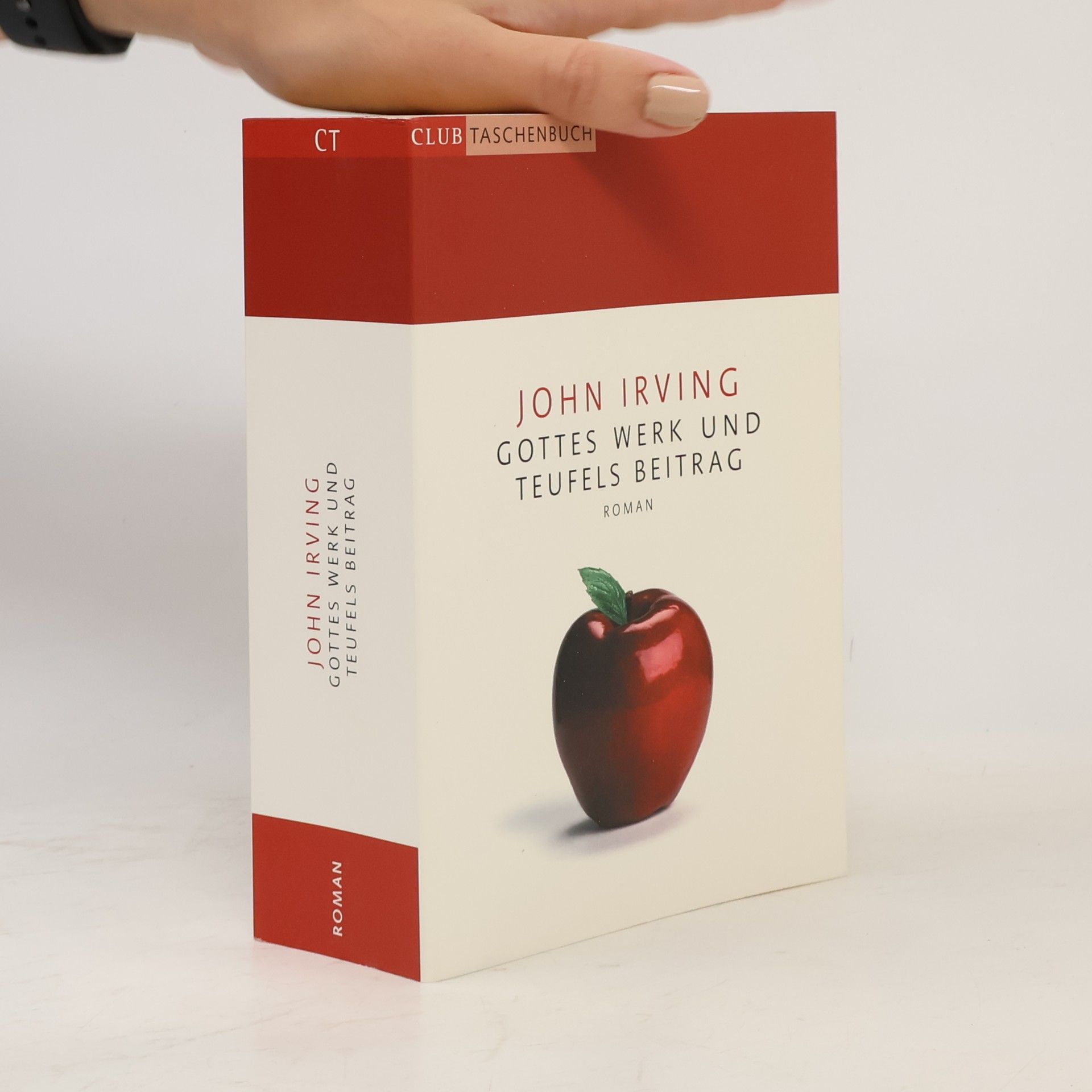 John Irving Gottes Werk und Teufels Beitrag