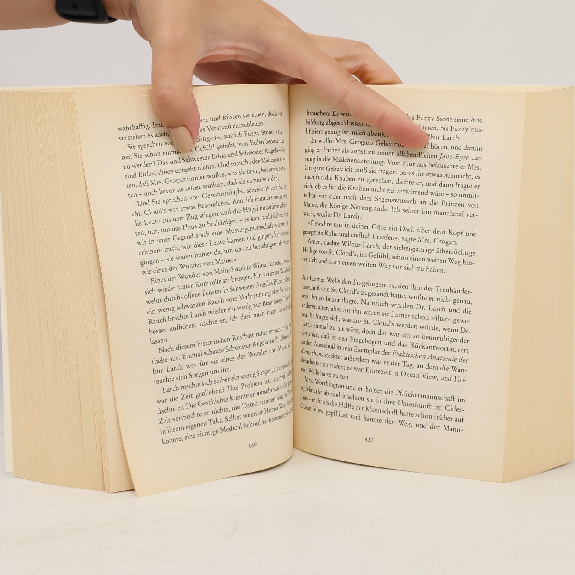 John Irving Gottes Werk und Teufels Beitrag