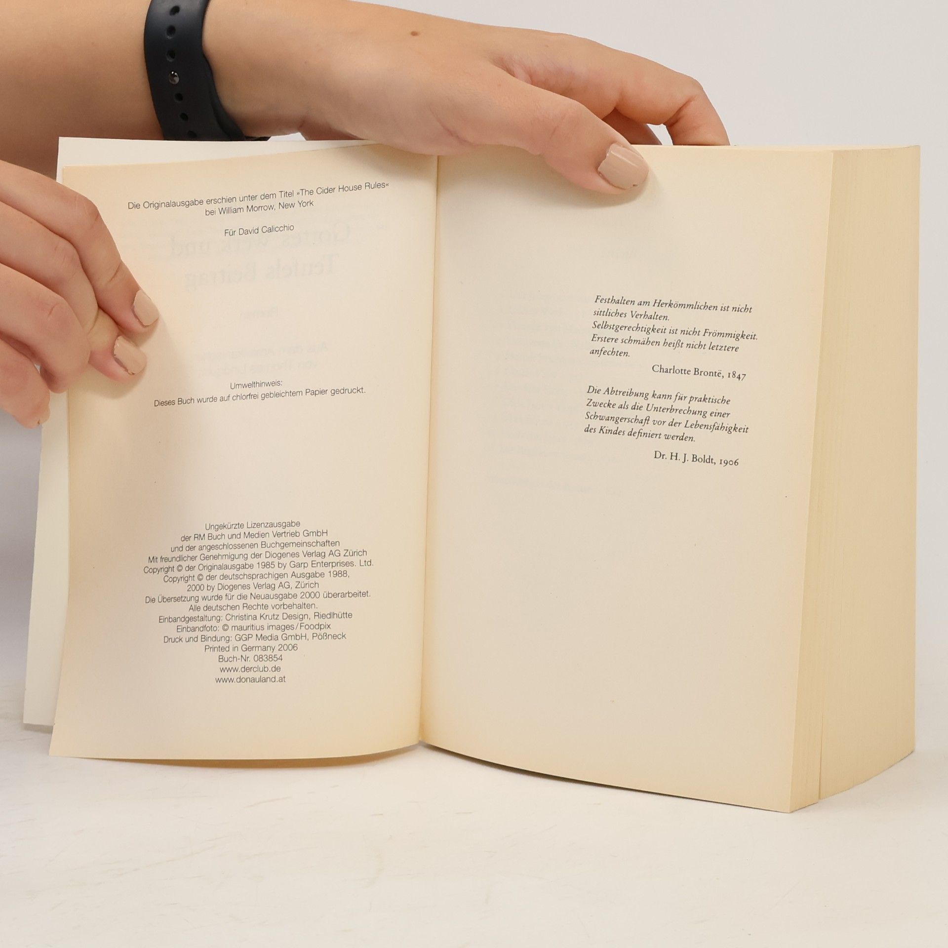 John Irving Gottes Werk und Teufels Beitrag