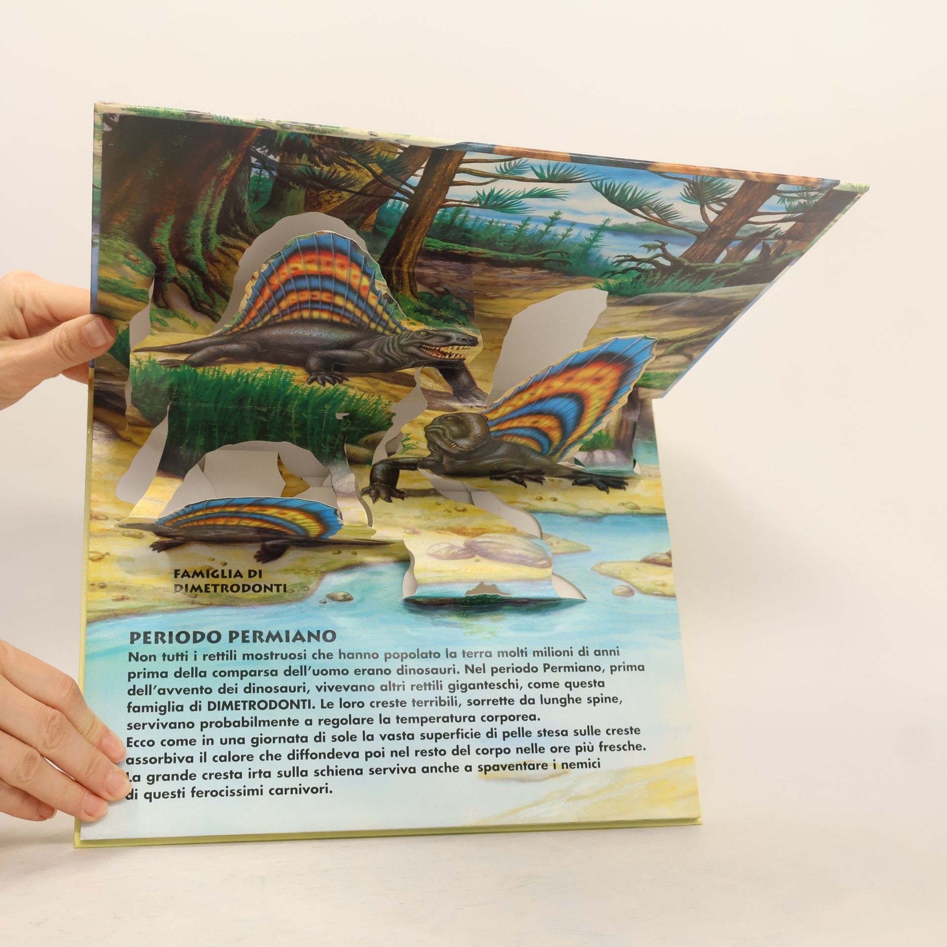Anna Casalis Maxi libri a tre dimensioni: Dinosauri