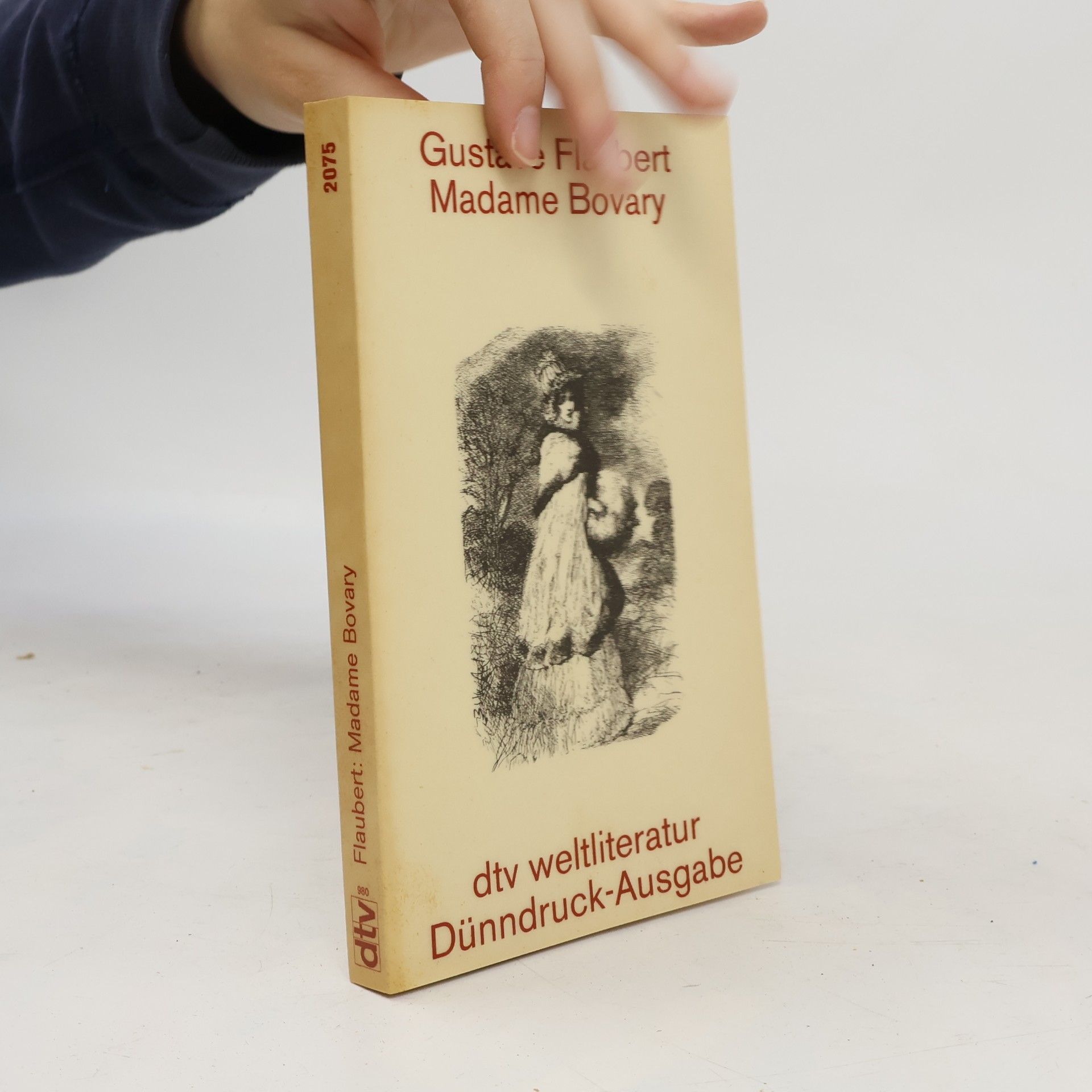 Gustave Flaubert Madame Bovary