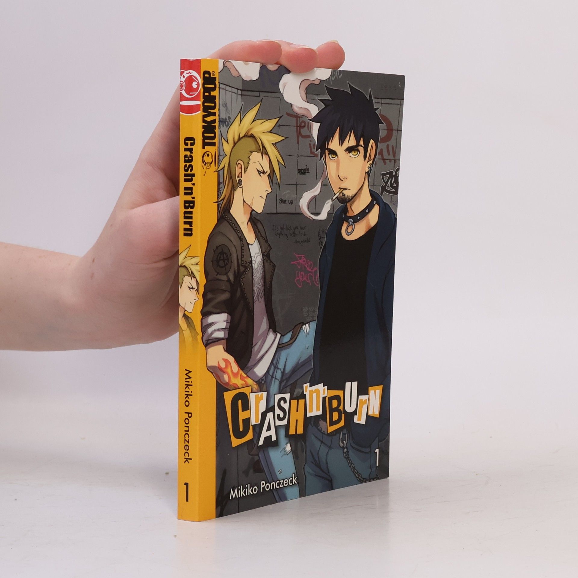Mikiko Ponczeck Crash 'n' burn 1