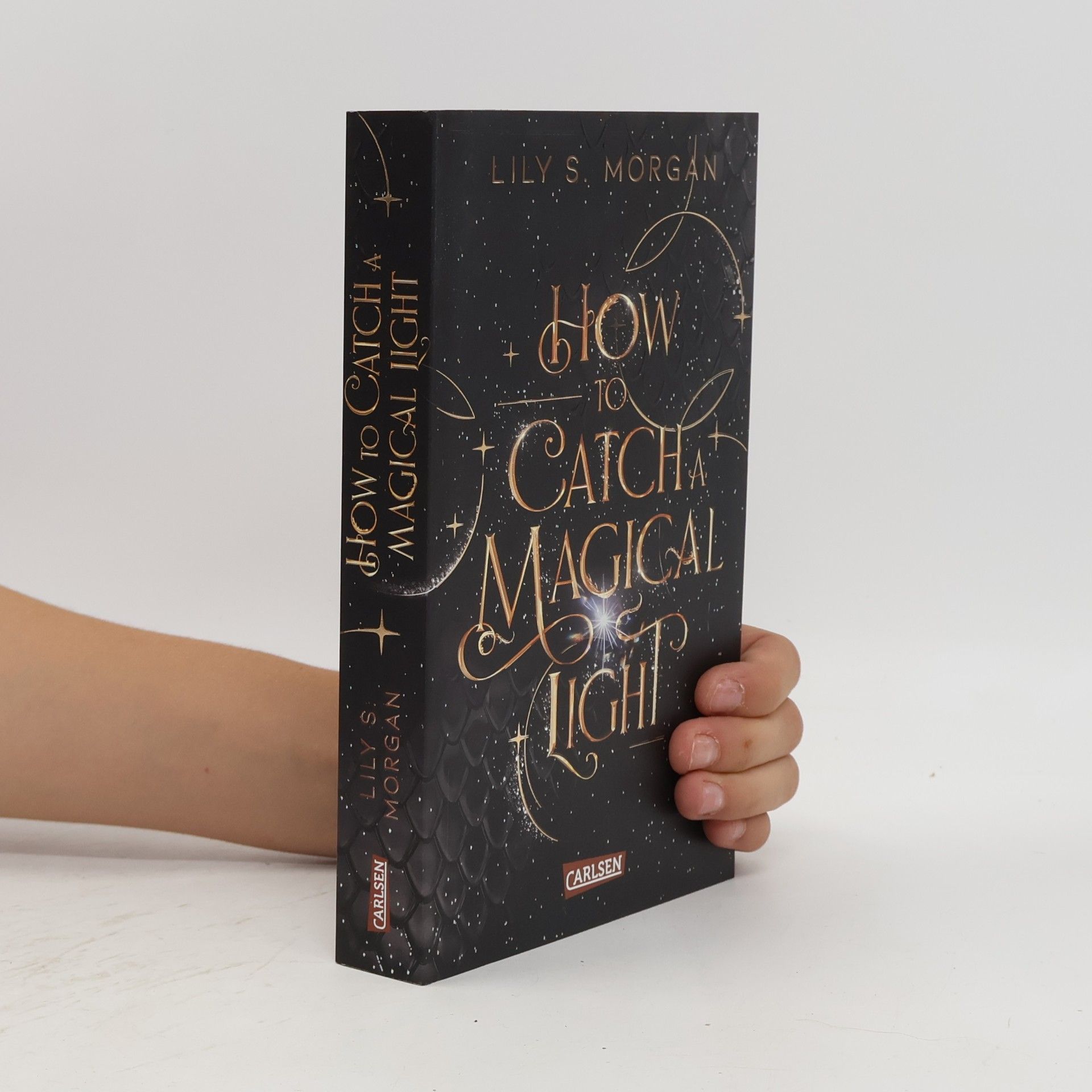 Lilly S. Morgan How To Catch A Magical Light / New York Magics Bd.1