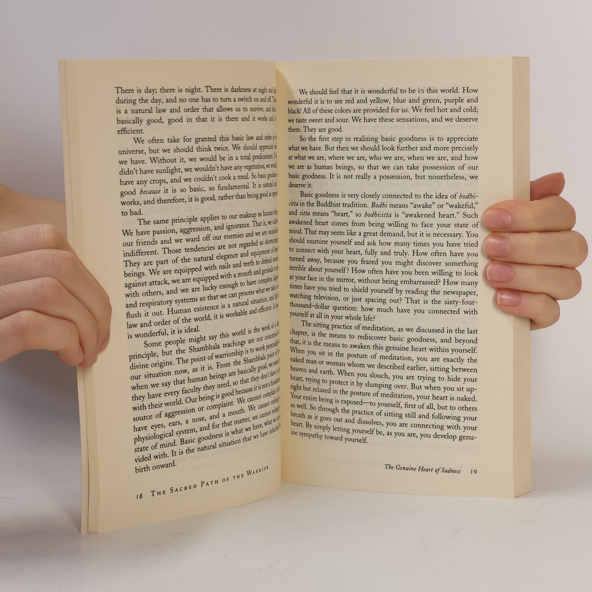 Čhögjam Trungpa Essential Chogyam Trungpa