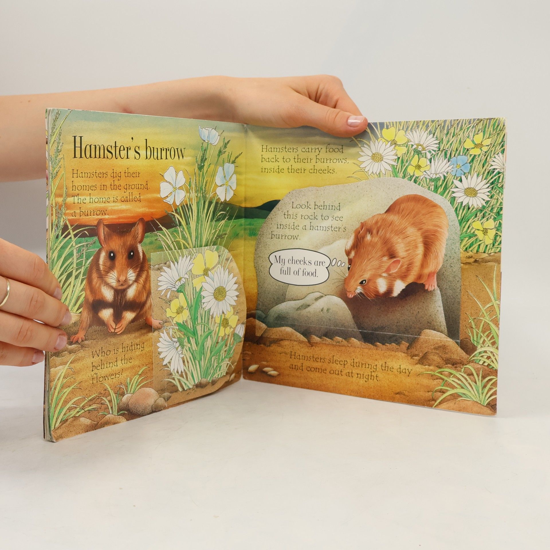 Debbie Martin Animal homes