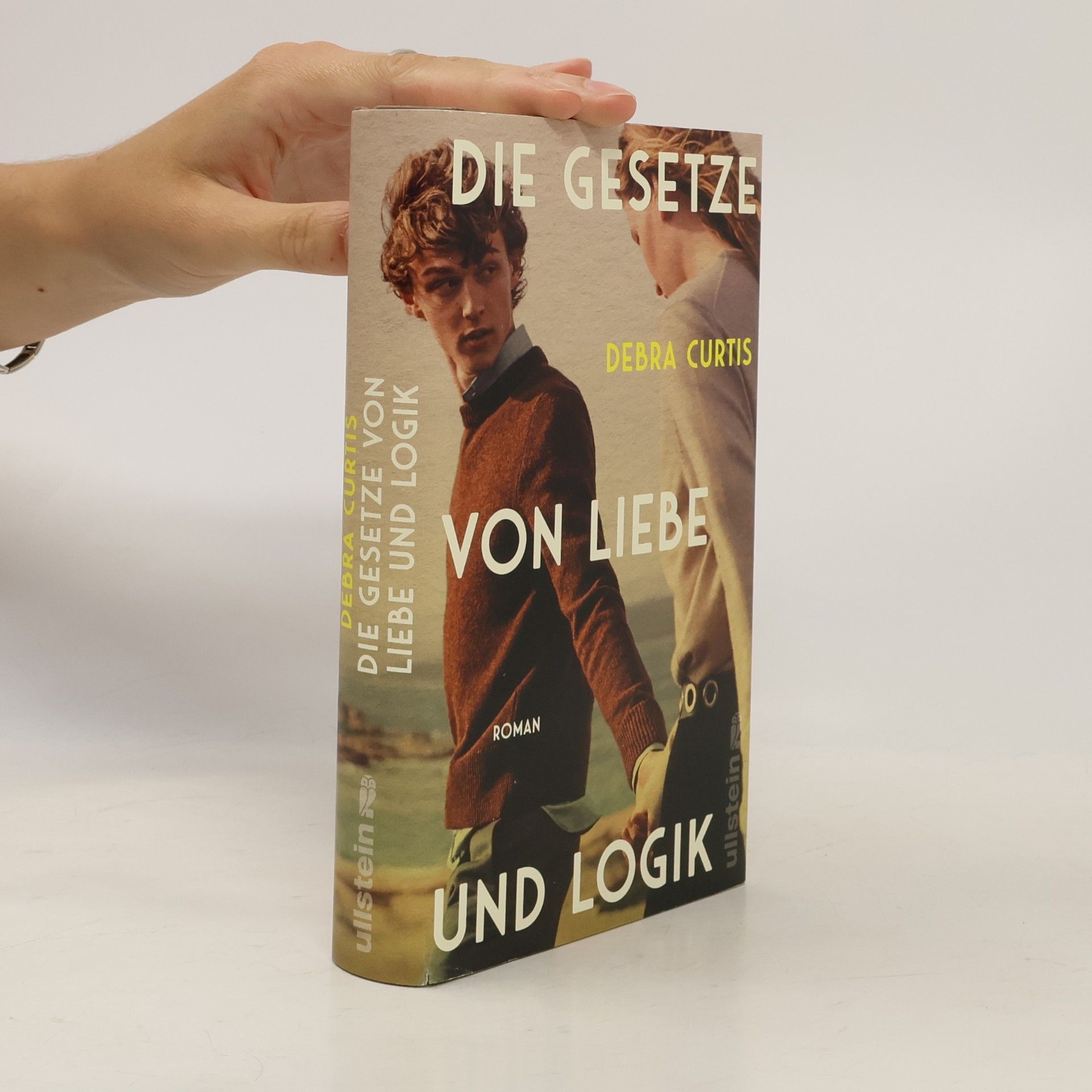 Debra Curtis Die Gesetze von Liebe und Logik