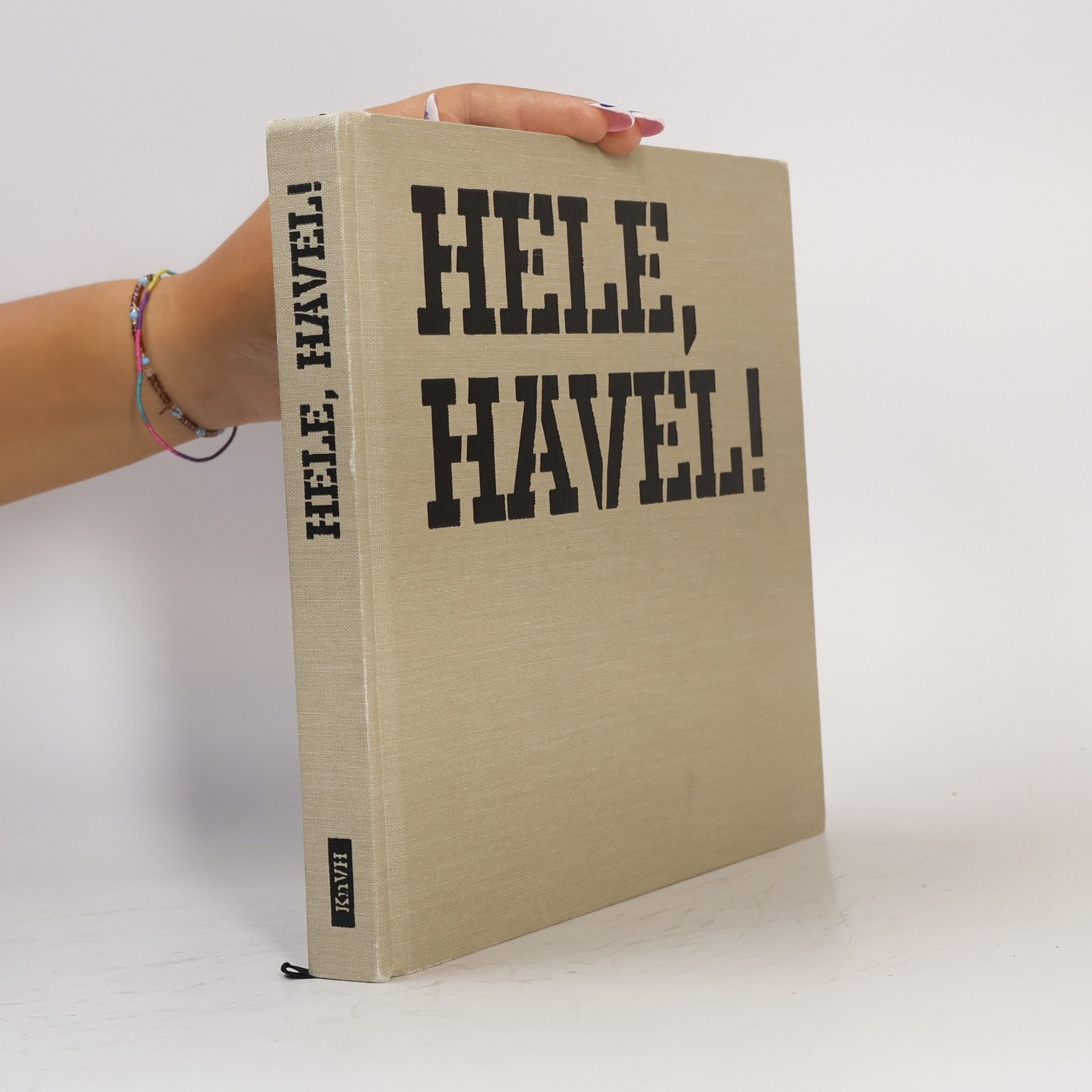 Autorenkollektiv Hele, Havel! Václav Havel v domácích albech