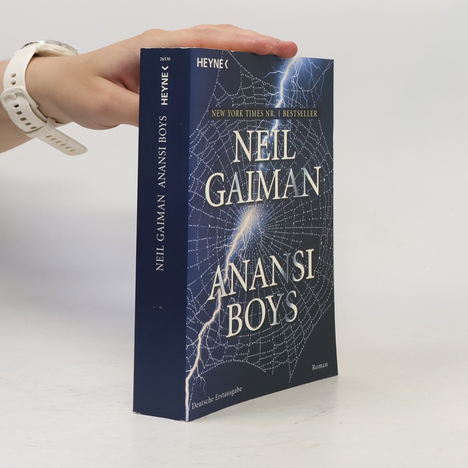 Neil Gaiman Anansi Boys
