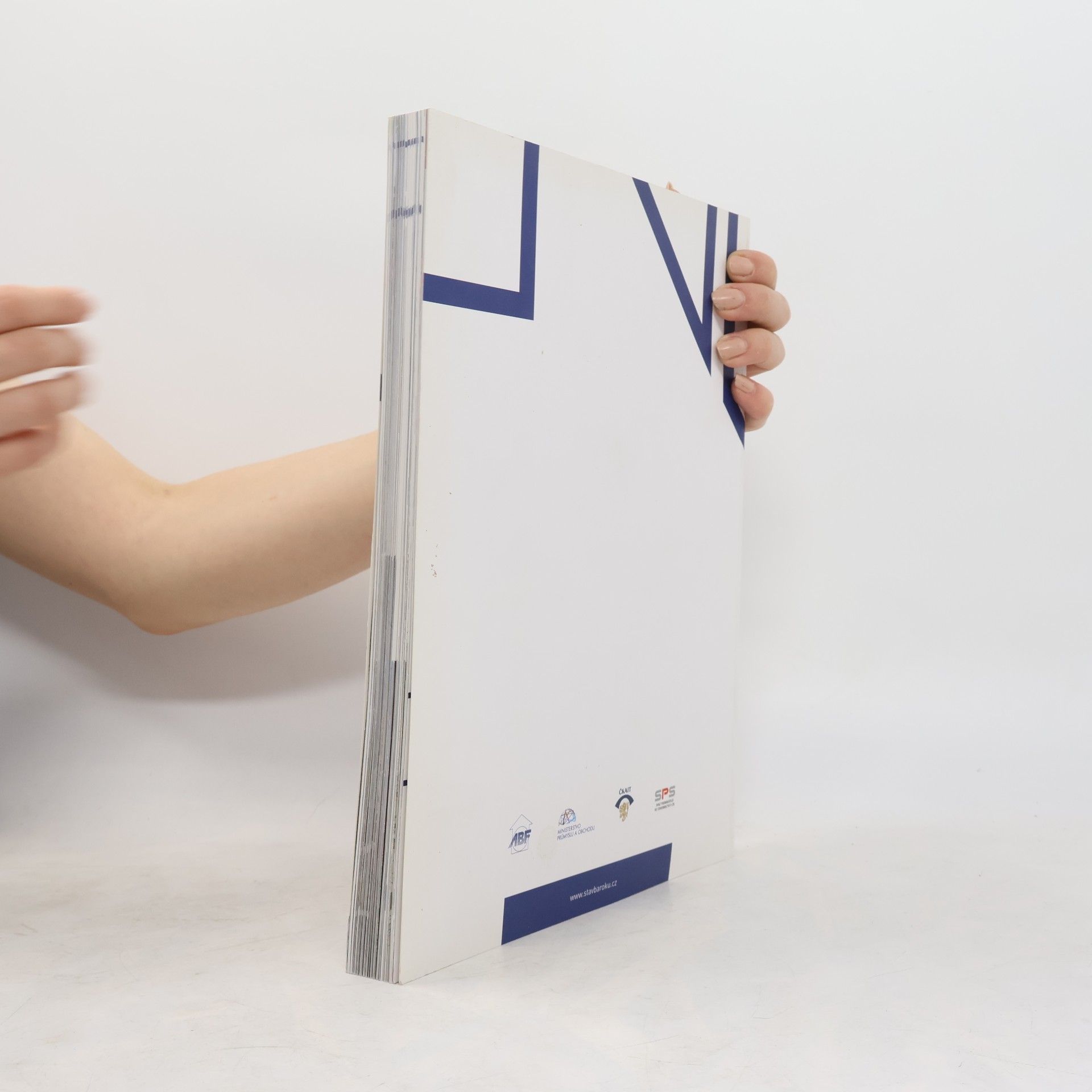 Collectif d'auteurs Stavba roku 2019