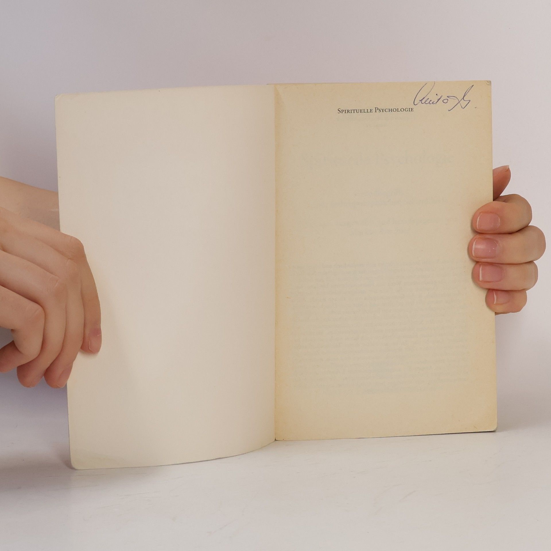 Rudolf Steiner Themen aus dem Gesamtwerk. Spirituelle Psychologie