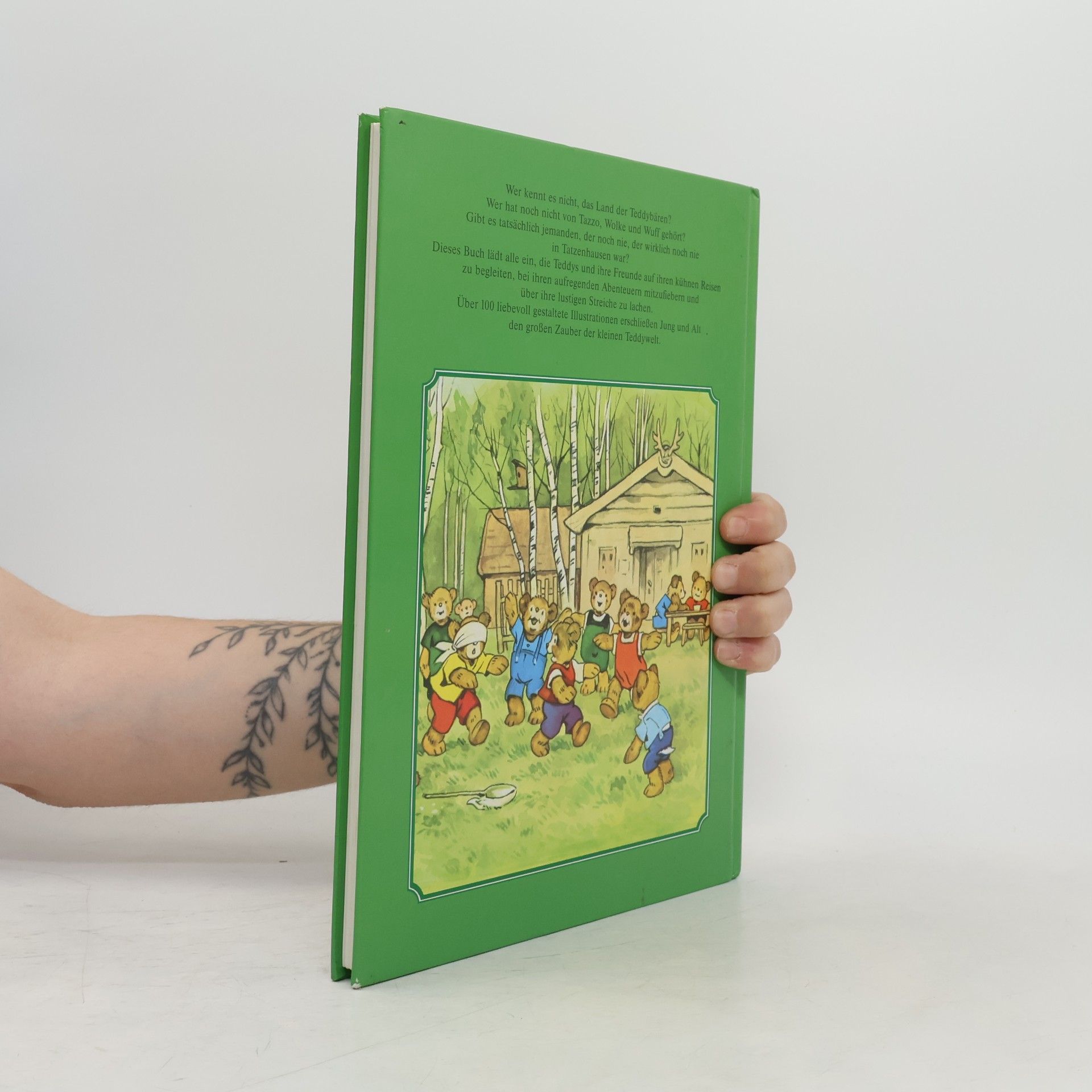 Fritz Baumgarten Mein großes farbiges Teddybuch