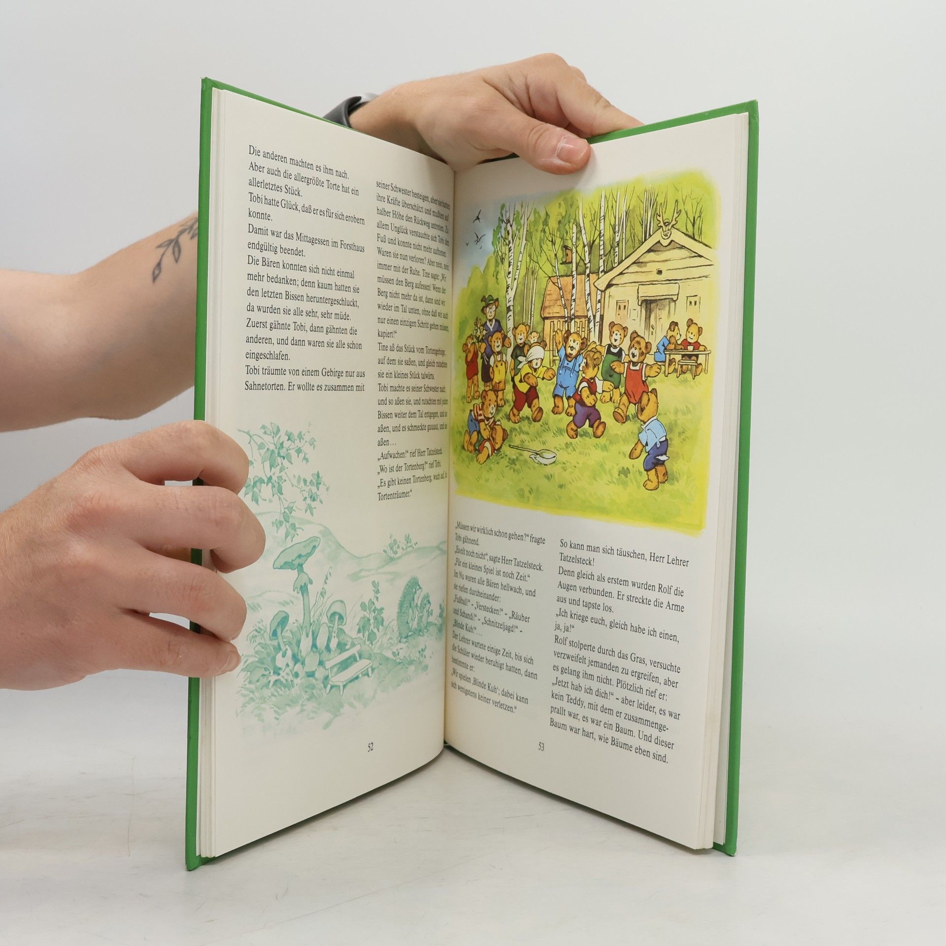 Fritz Baumgarten Mein großes farbiges Teddybuch