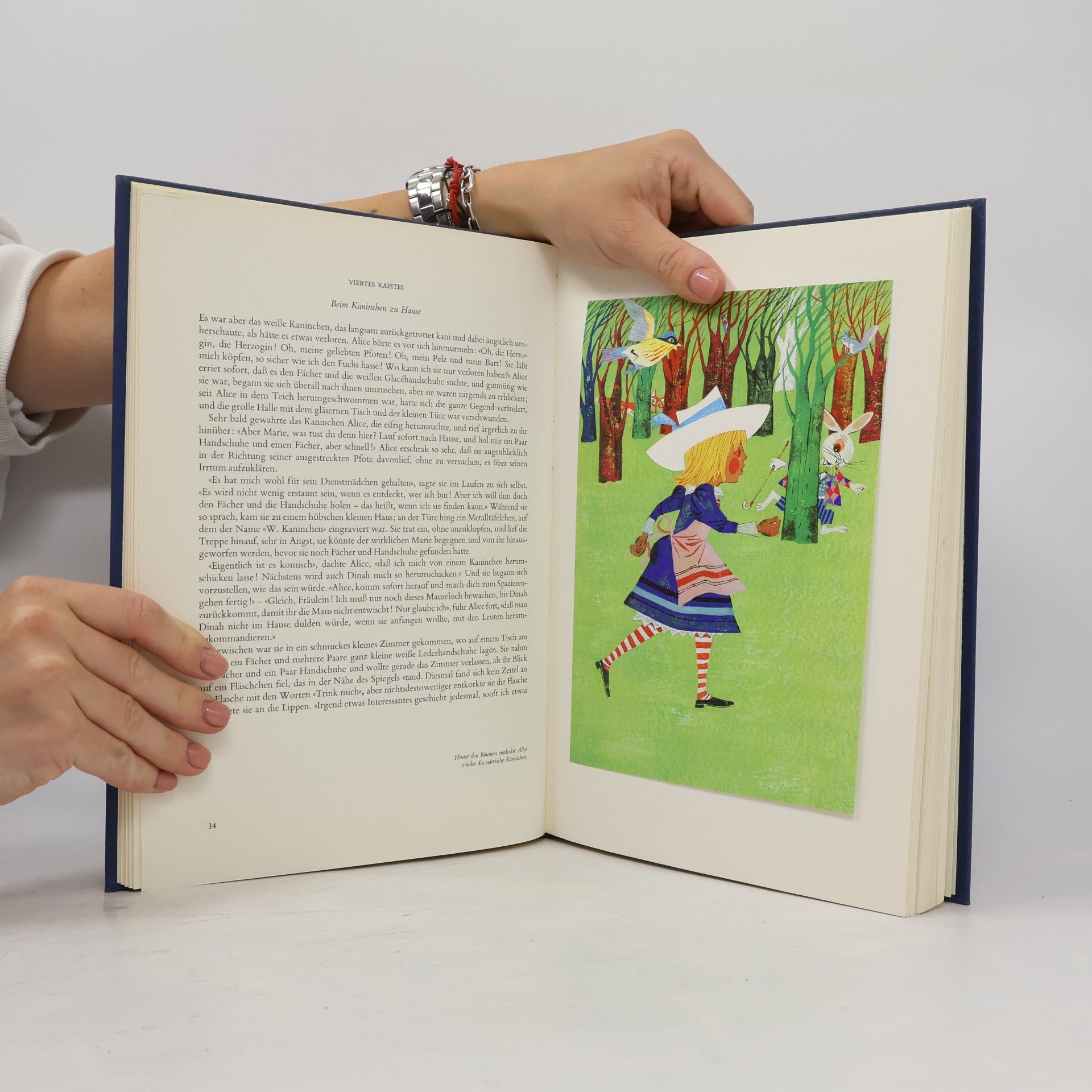 Lewis Carroll Alice im Wunderland