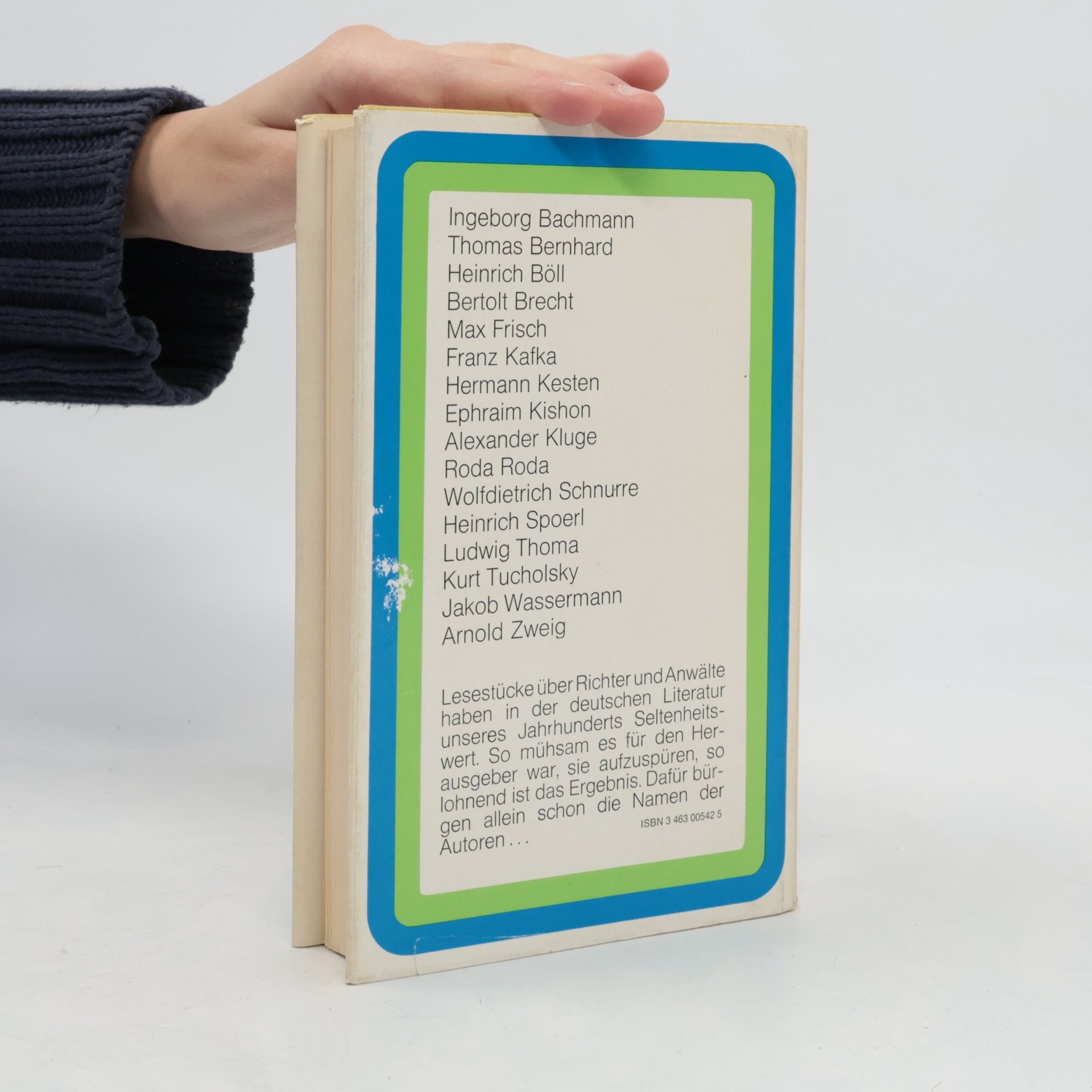 Hans Eckart Rübesamen Im Angesicht der Wahrheit : Bachmann, Böll, Brecht, Frisch, Kafka, Kishon und andere über Anwälte und Richter