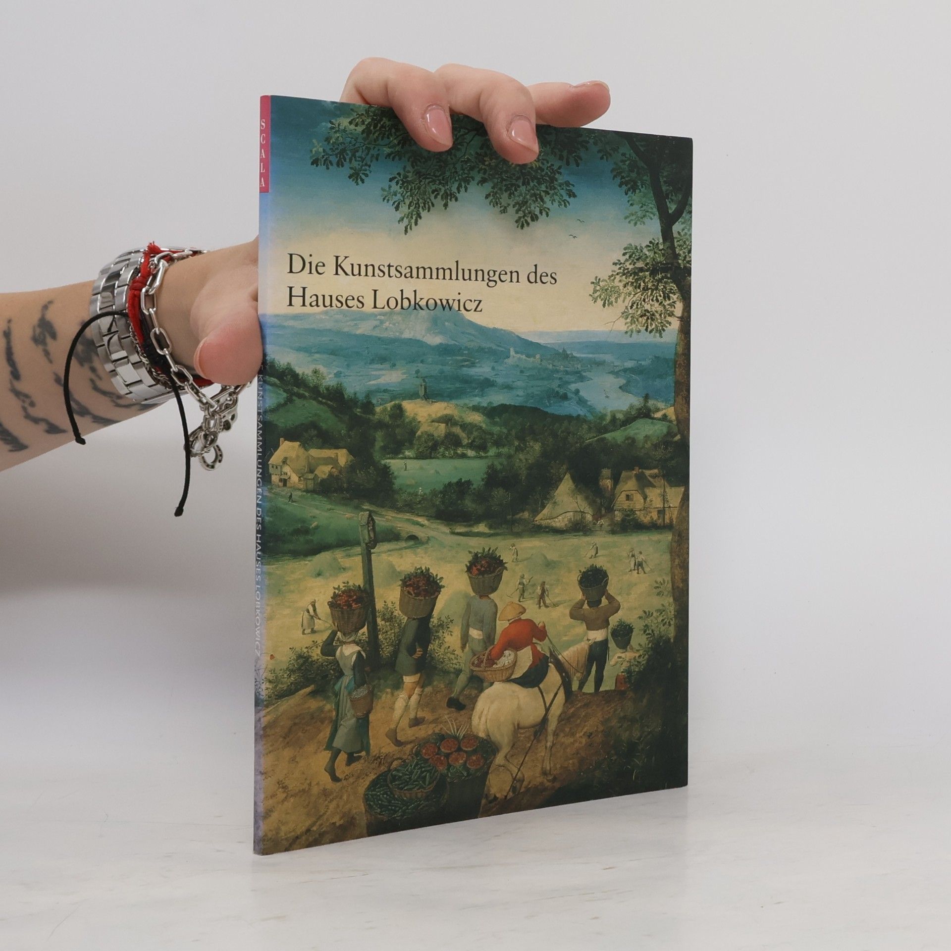 Autores varios Die Kunstsammlungen des Hauses Lobkowicz