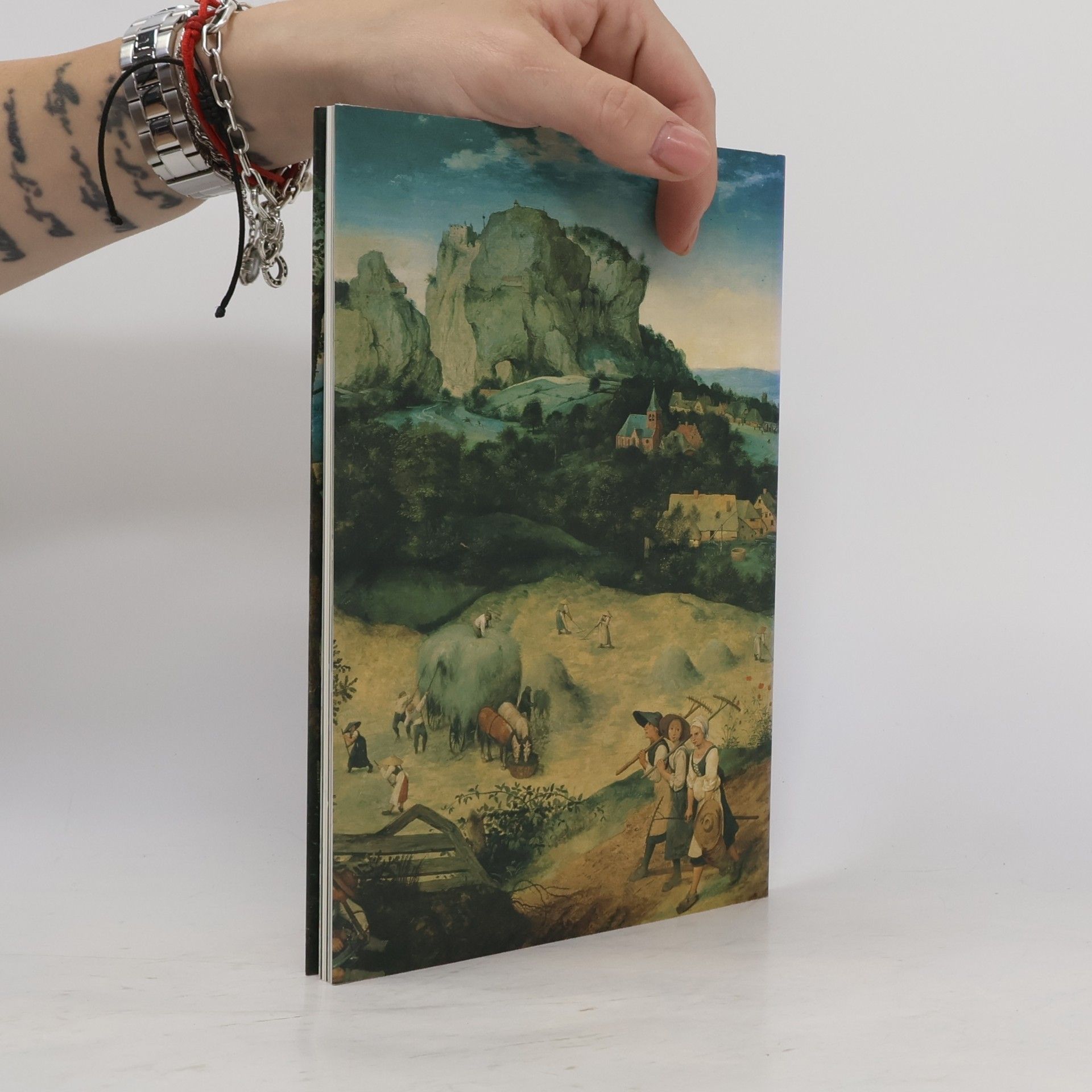 Autorenkollektiv Die Kunstsammlungen des Hauses Lobkowicz