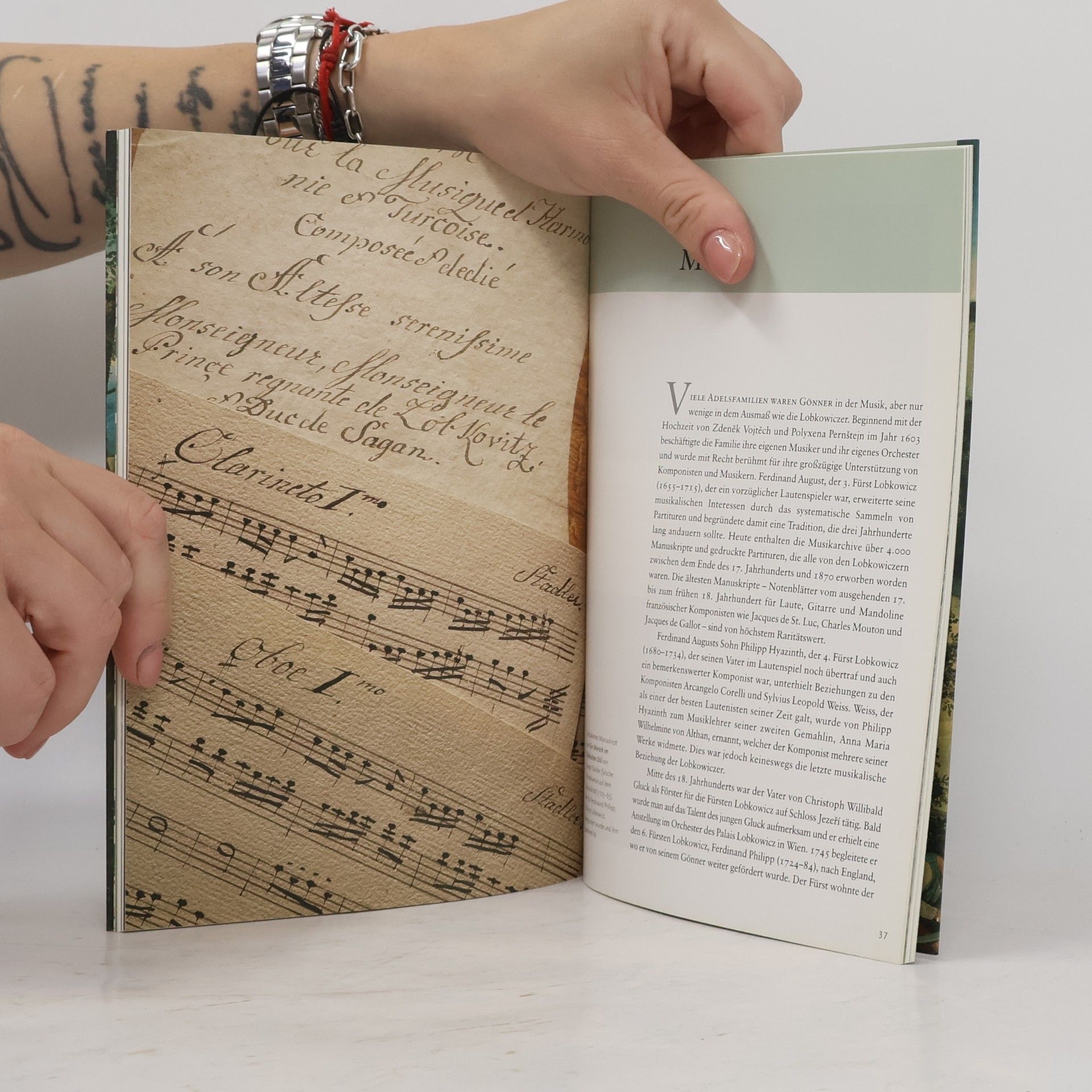 Autorenkollektiv Die Kunstsammlungen des Hauses Lobkowicz