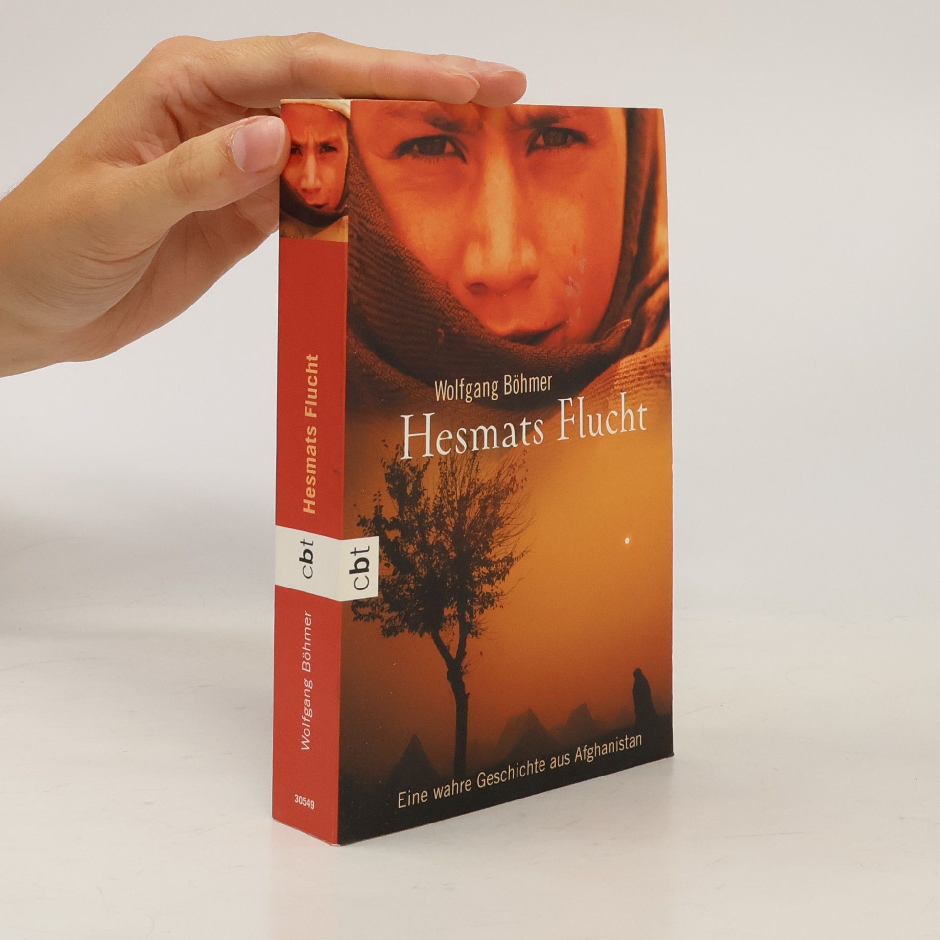 Wolfgang Böhmer Hesmats Flucht