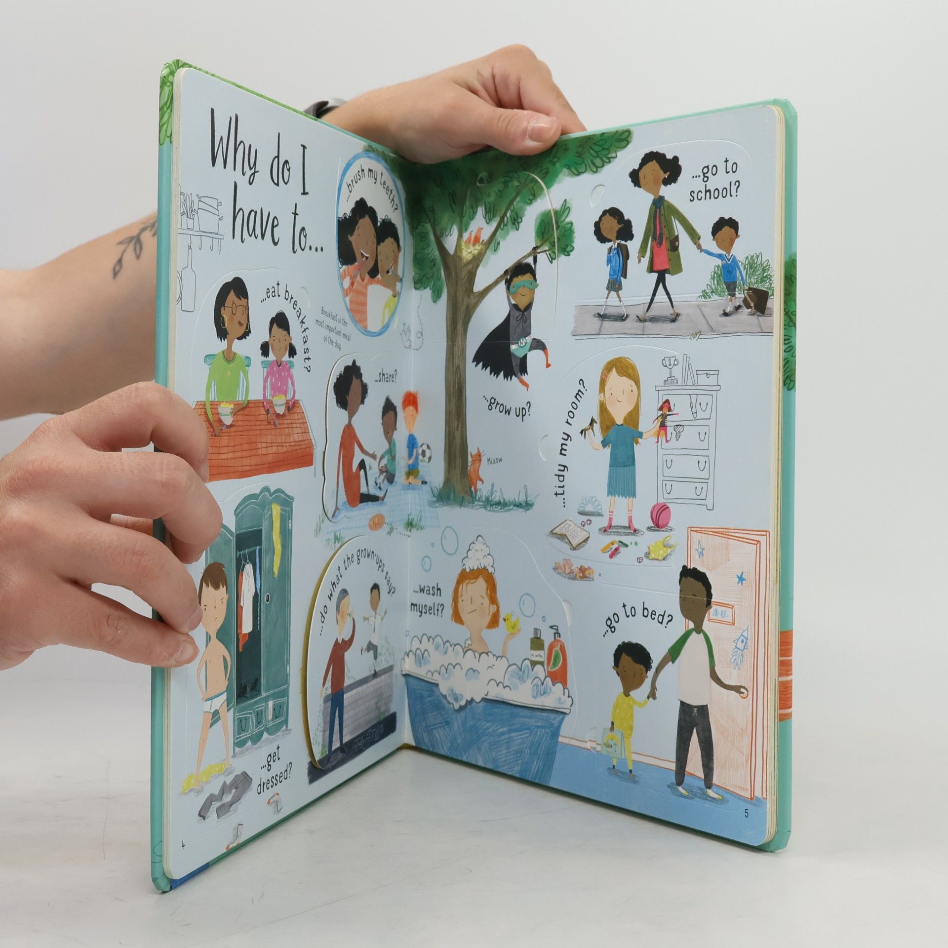 Katie Daynes Questions and answers about growing up