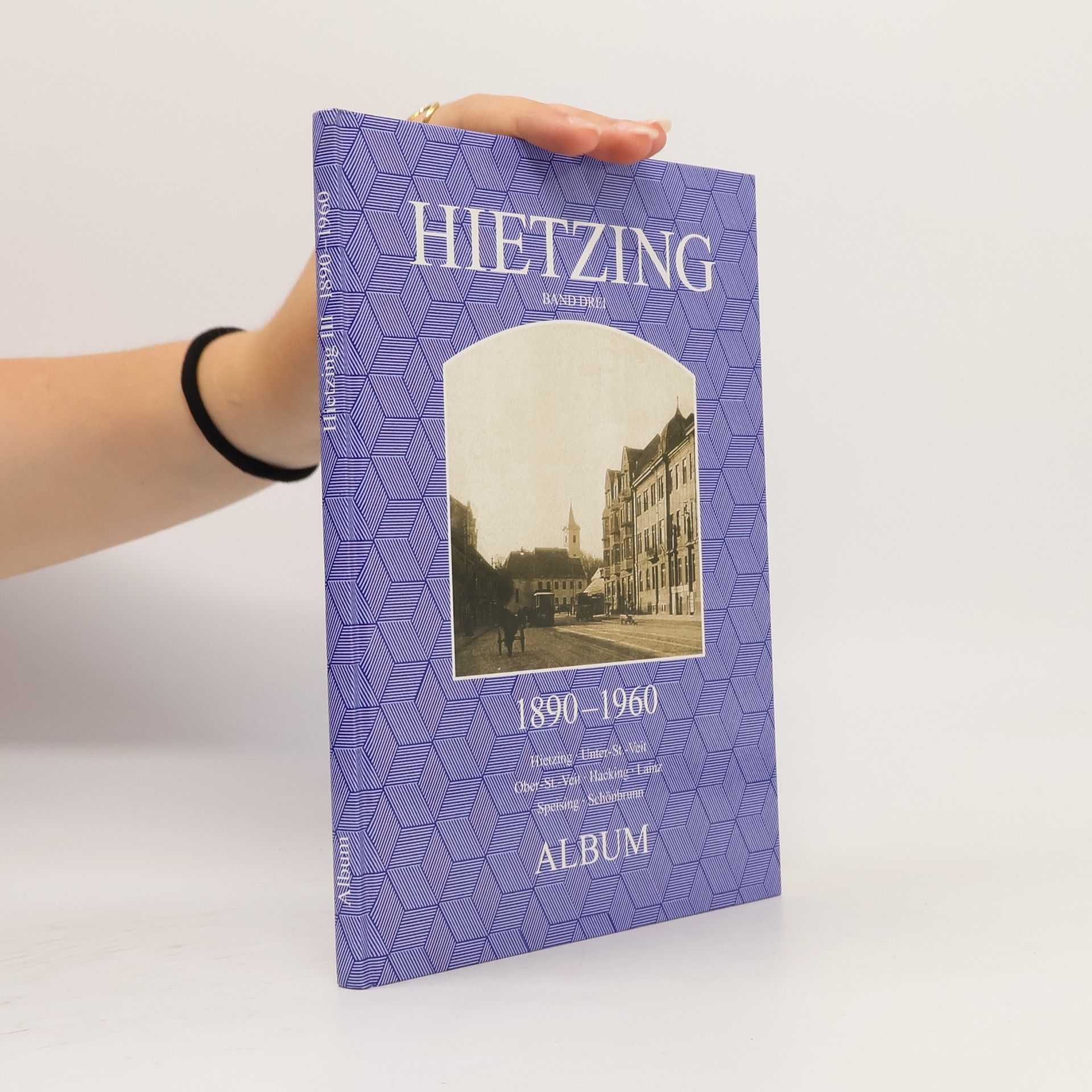 Collectif d'auteurs Hietzing 1890-1960 Album