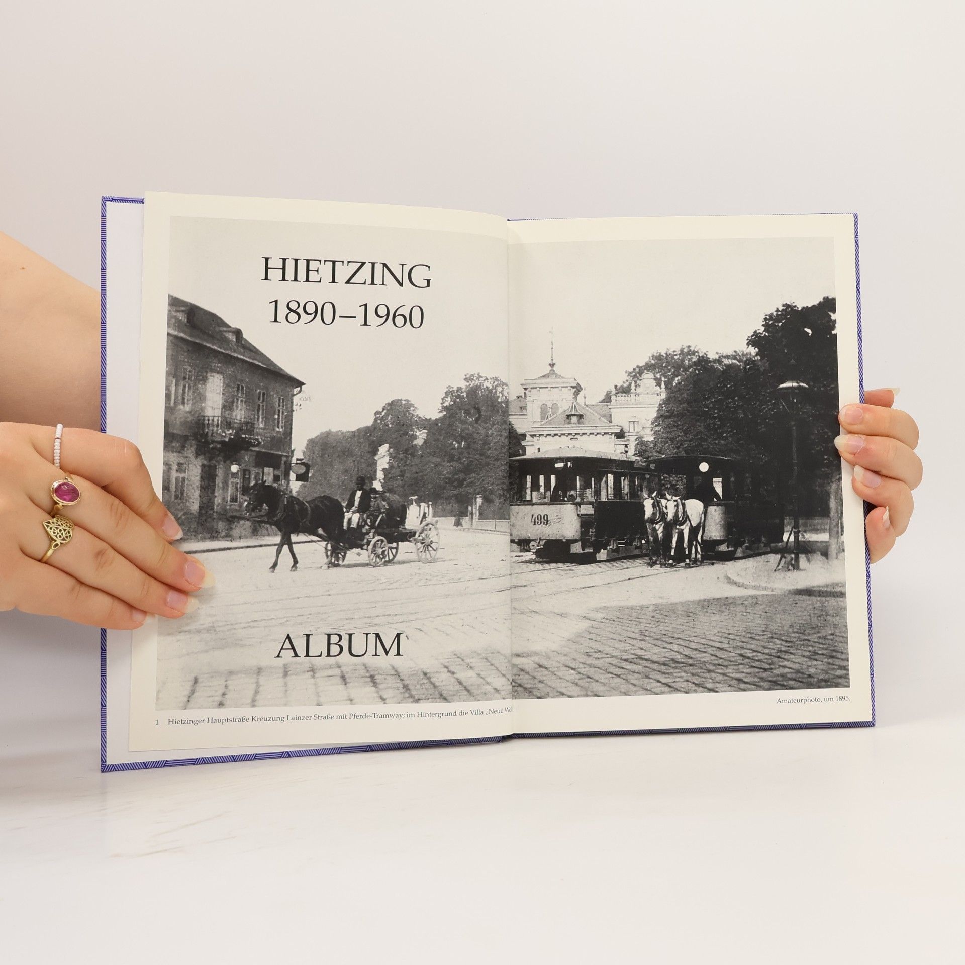 Autorenkollektiv Hietzing 1890-1960 Album