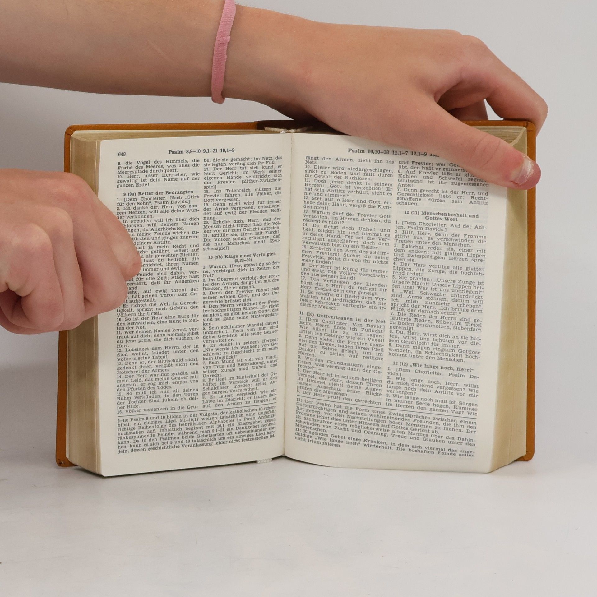 Vinzenz Hamp Die Heilige Schrift des Alten und Neuen Testamentes