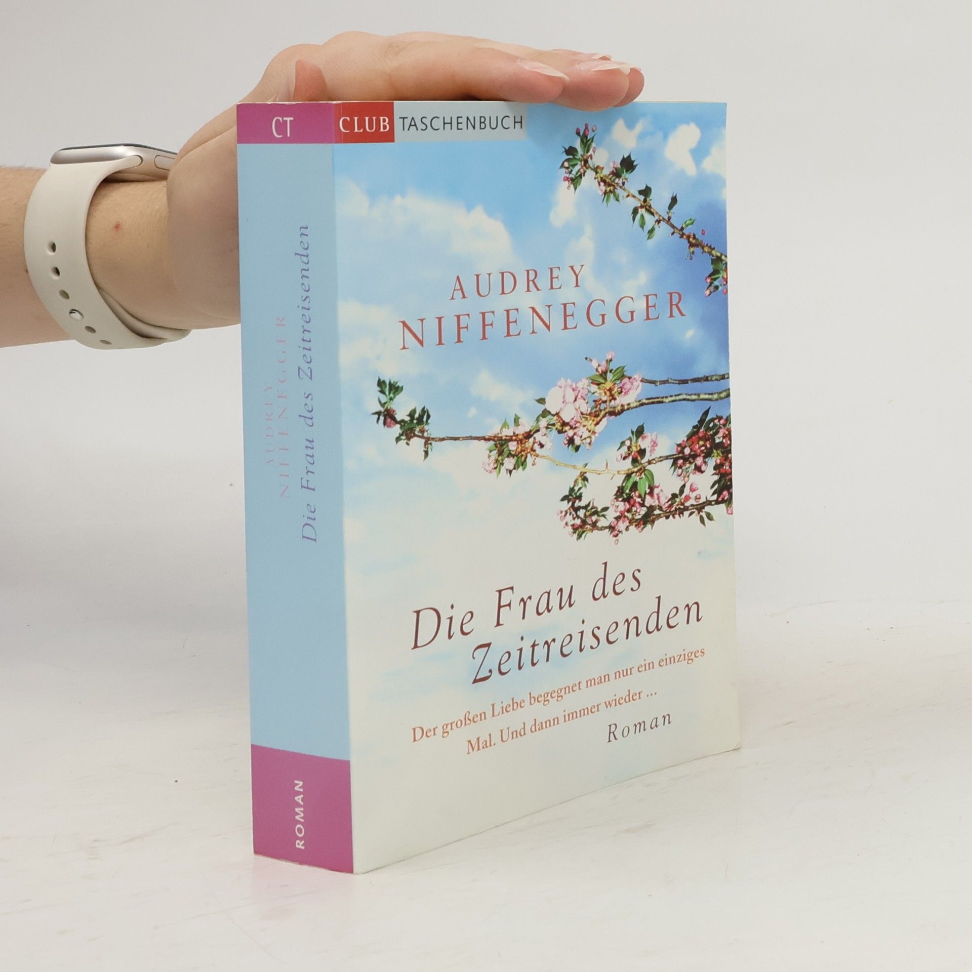 Audrey Niffenegger Die Frau des Zeitreisenden
