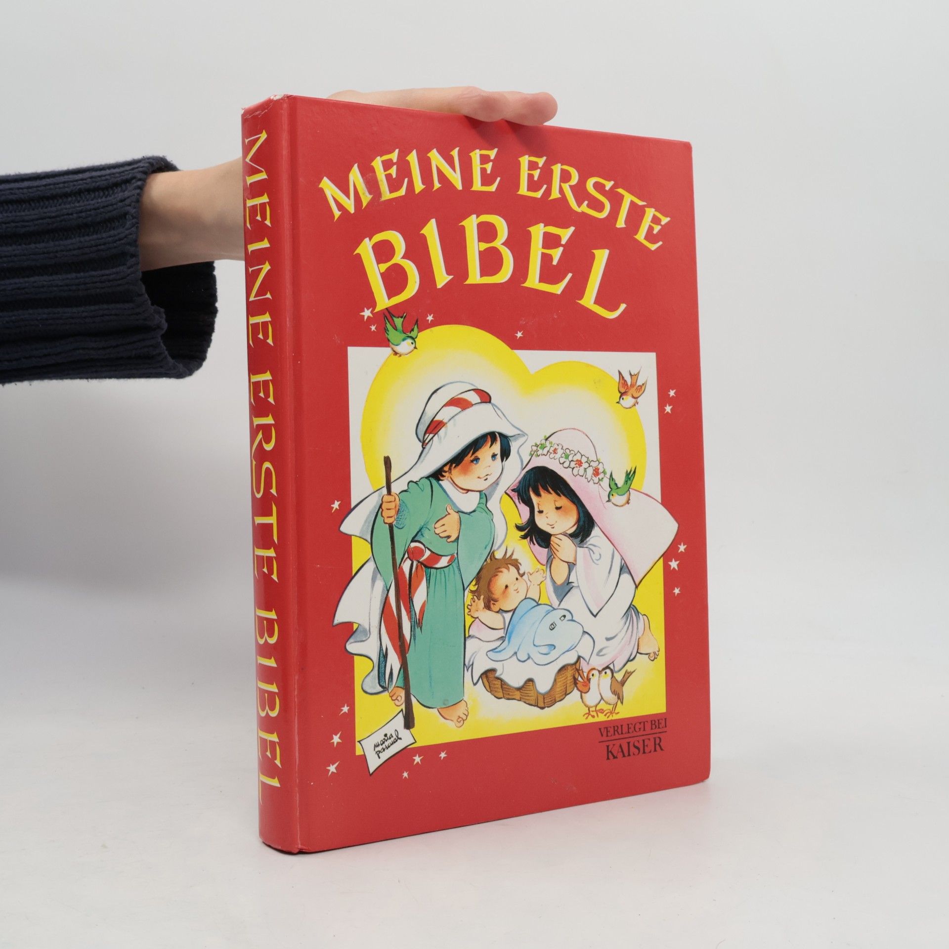 Auteurscollectief Meine erste Bibel